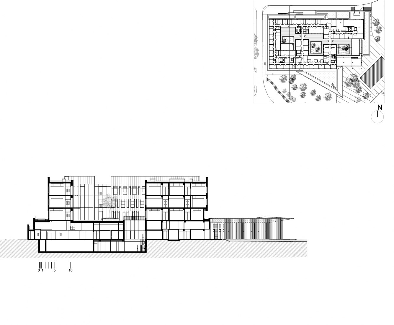 Sección transversal AA. Instituto de Neurociencia por Dietmar Feichtinger Architectes