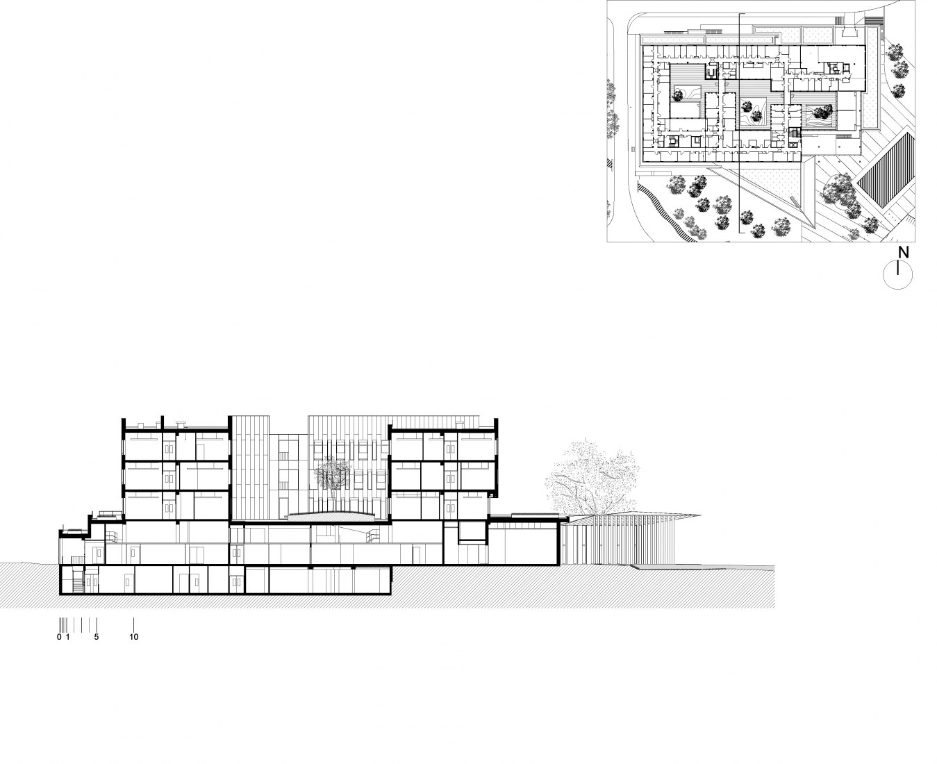 Sección transversal BB. Instituto de Neurociencia por Dietmar Feichtinger Architectes