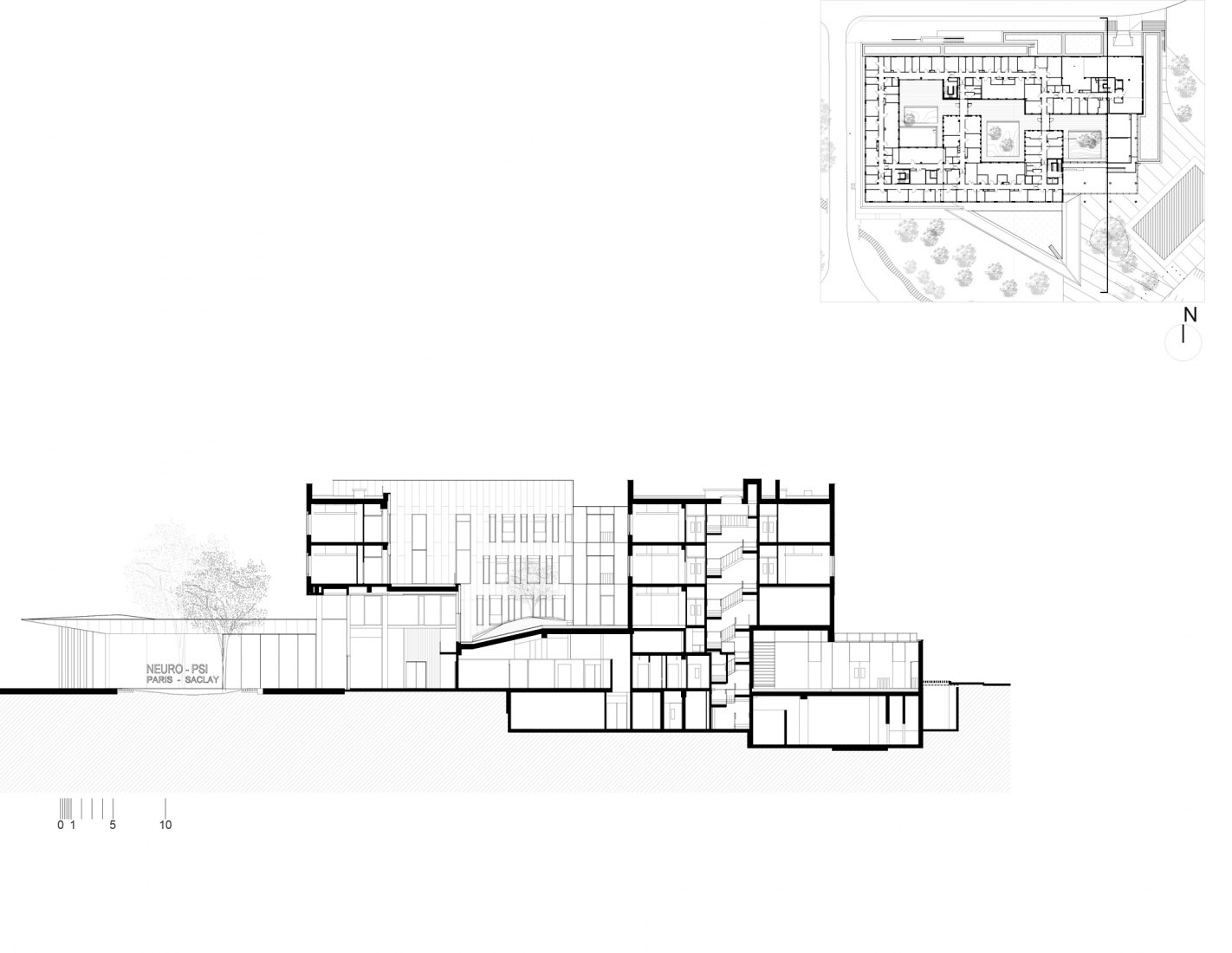 Sección transversal CC. Instituto de Neurociencia por Dietmar Feichtinger Architectes