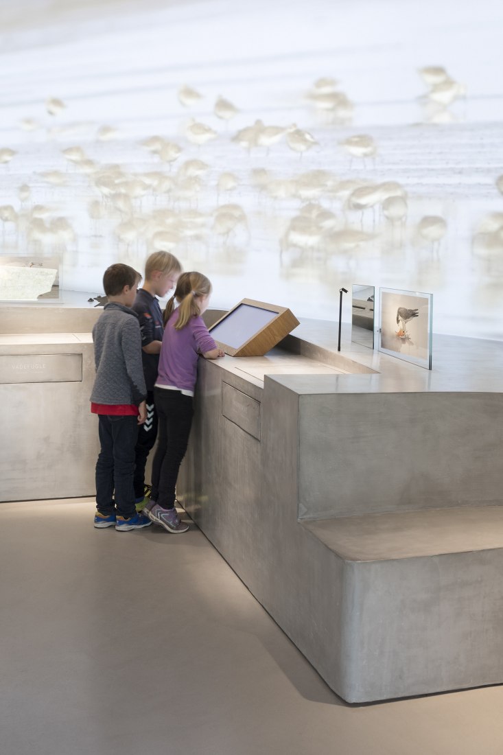 Centro de interpretación del Mar de Wadden por Dorte Mandrup. Fotografía por Adam Mørk.