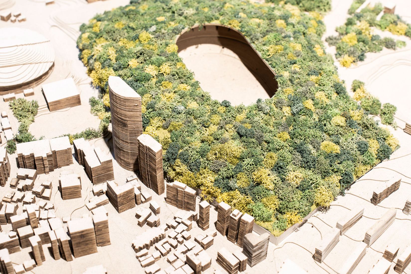Relationships between architecture and vegetation. Arboretum, Trees as ...