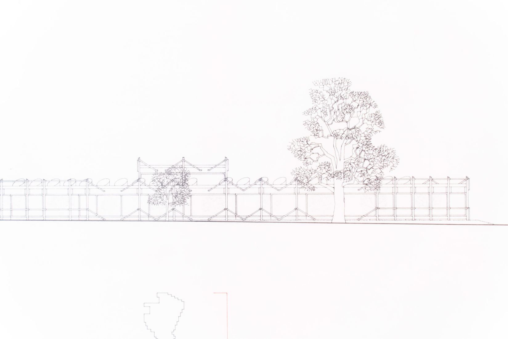 Arboretum, Los árboles como arquitectura. Fotografía por Mikel Blasco.