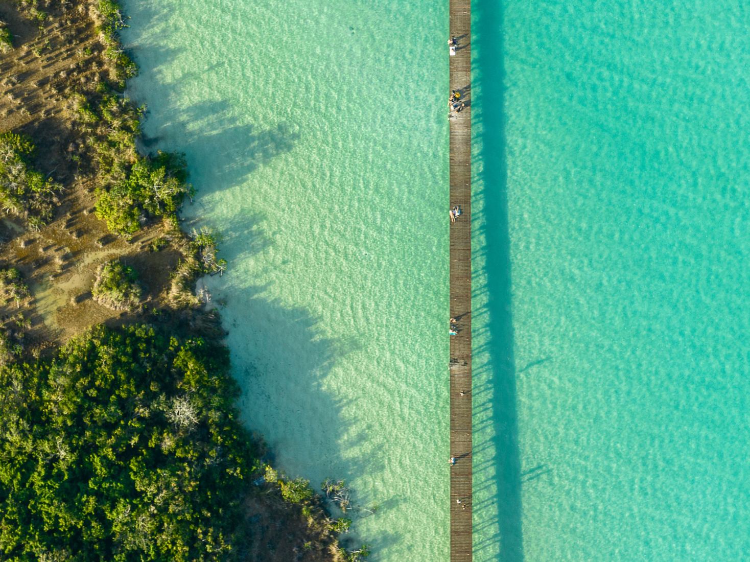 Bacalar Ecopark by Colectivo C733. Photograph by Rafael Gamo.