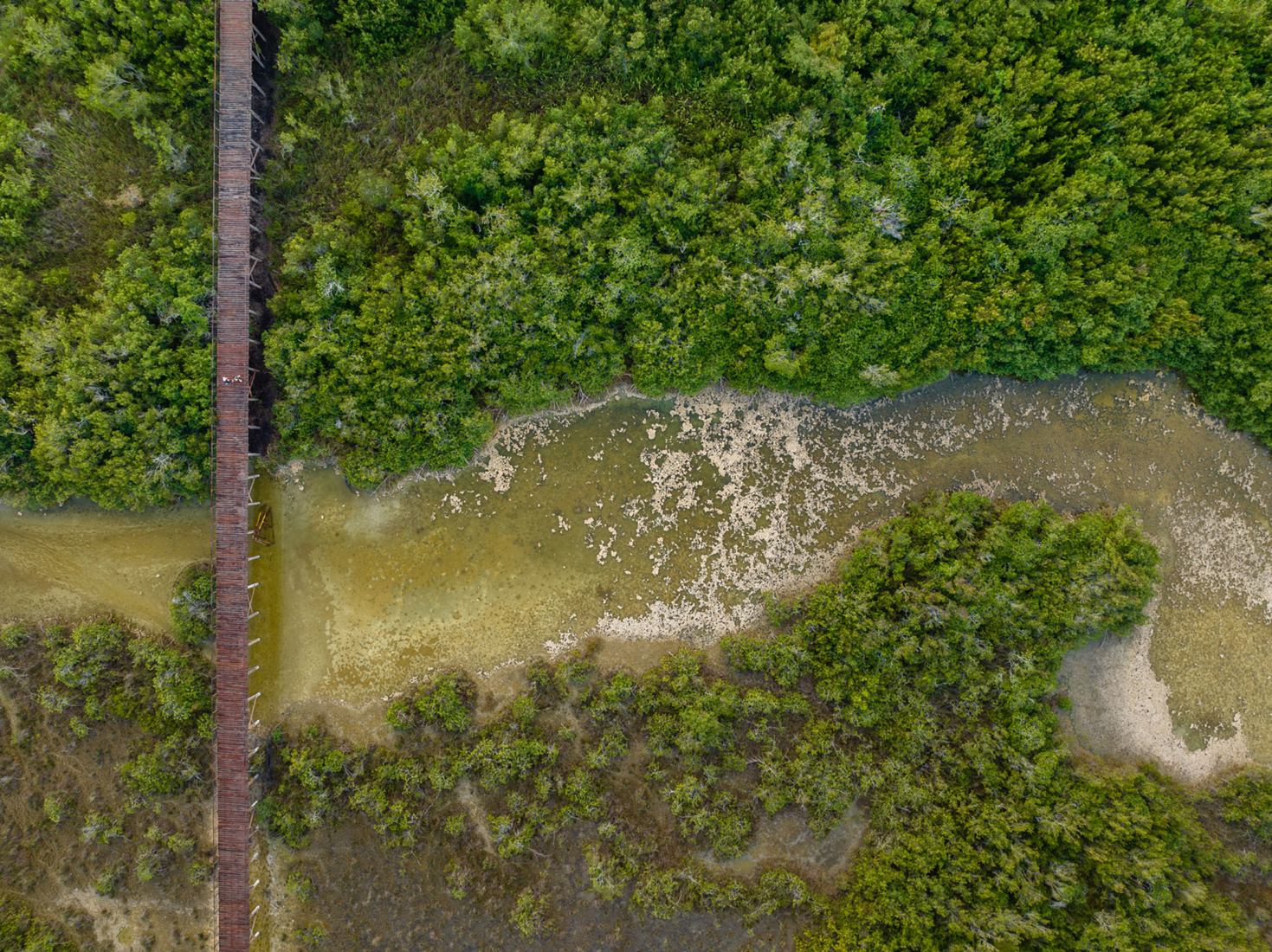 Bacalar Ecopark by Colectivo C733. Photograph by Rafael Gamo.