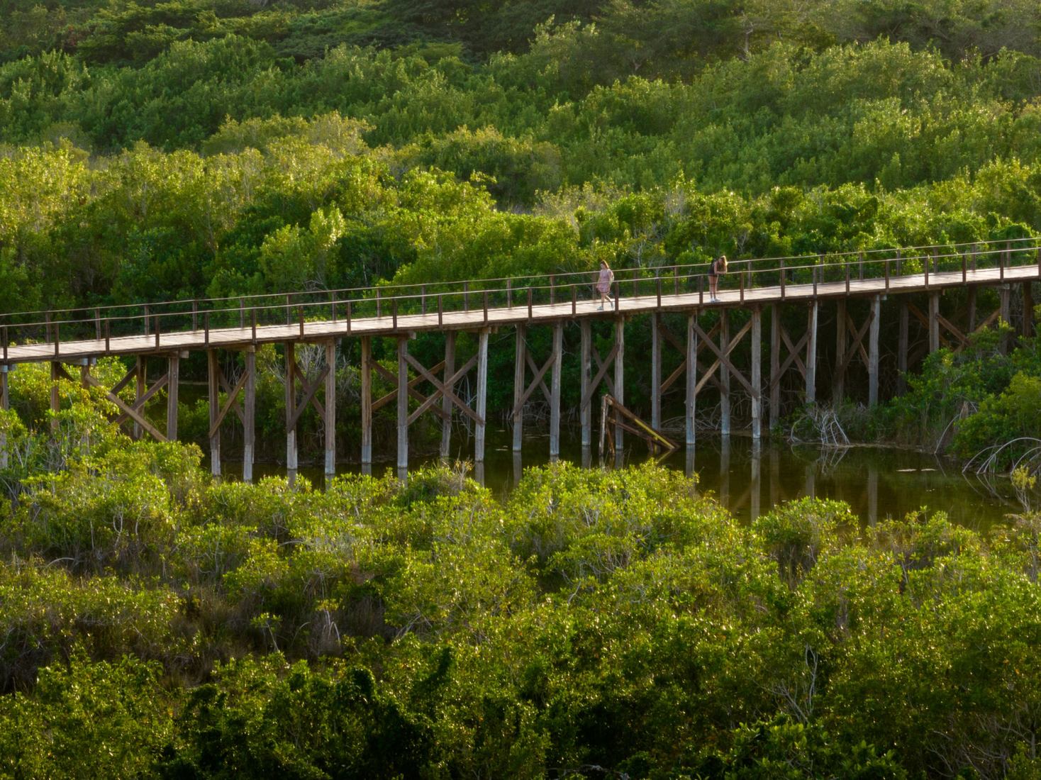 Bacalar Ecopark by Colectivo C733. Photograph by Rafael Gamo.