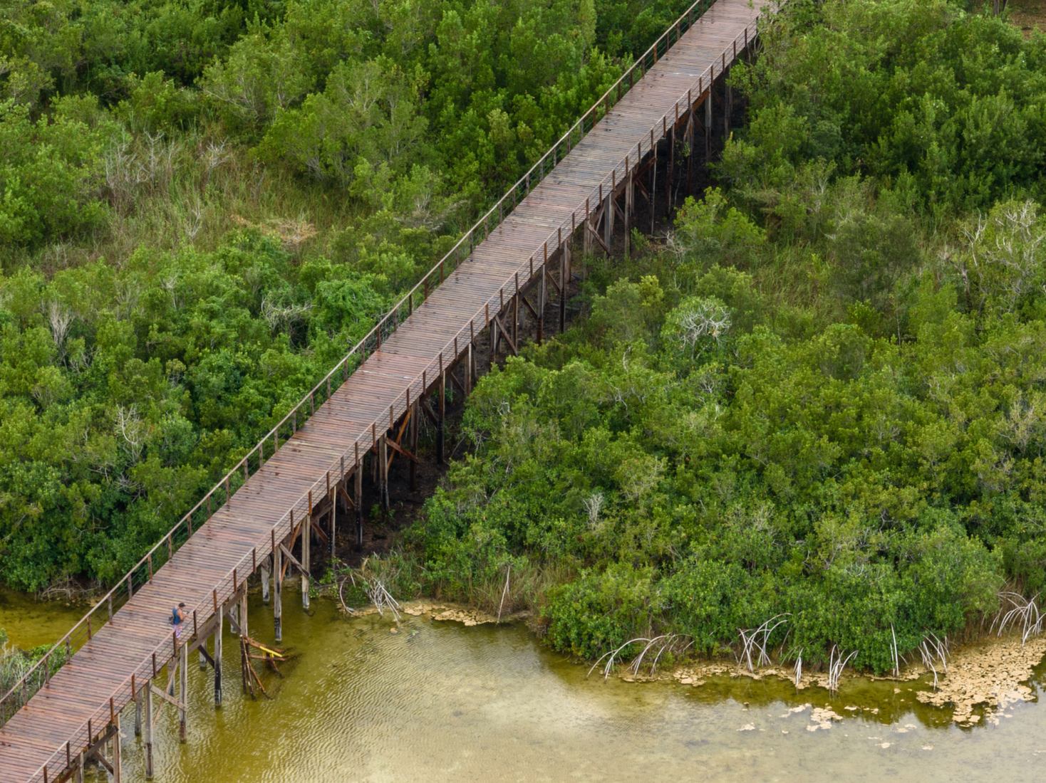 Bacalar Ecopark by Colectivo C733. Photograph by Rafael Gamo.