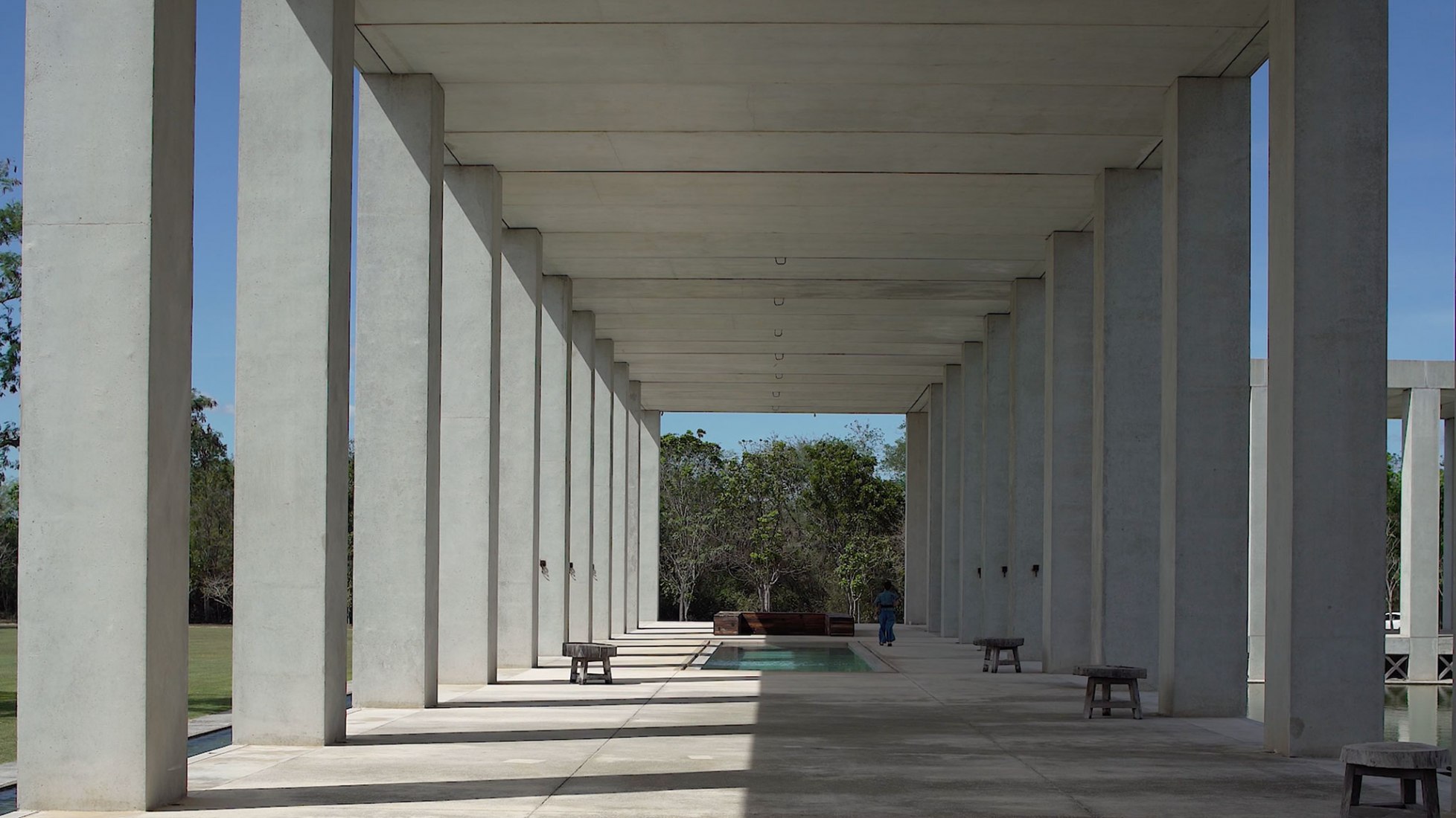 Plantel Matilde por Edmund Sumner