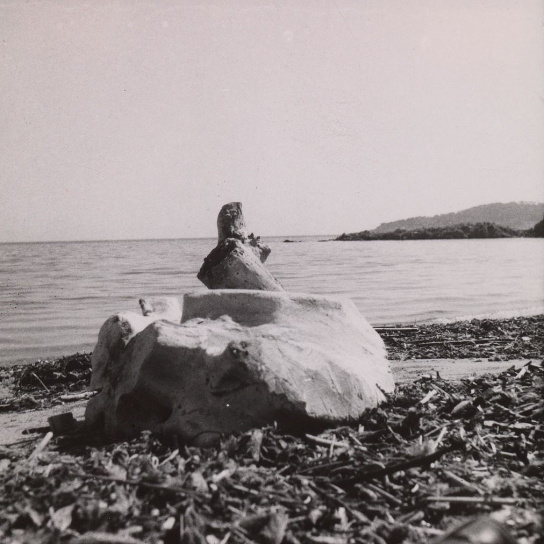 Madera petrificada, c.1950. Fotografía. Exposición Eileen Gray: la pintora privada. Imagen cortesía de la Osborne Samuel Gallery. 