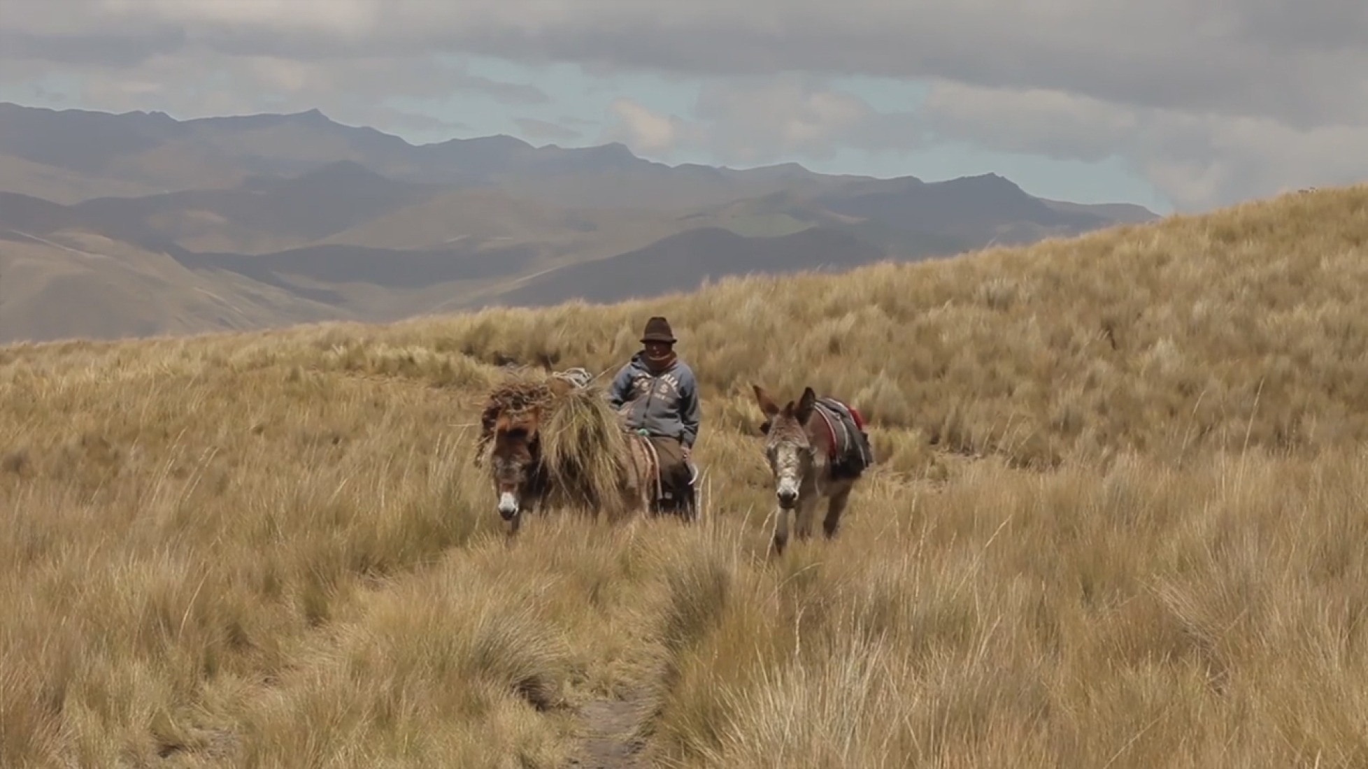 Video screenshot. El Último Hielero - The Last Ice Merchant.