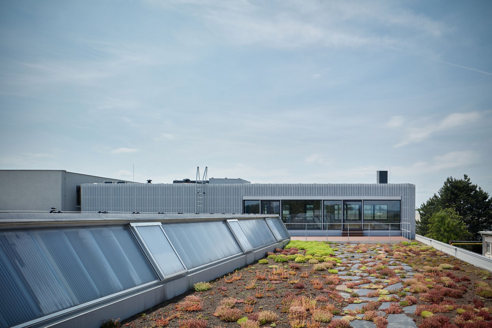 Edificio de manufacturación y administración de Pilana Karbid por Ellement architects. Fotografía por BoysPlayNice