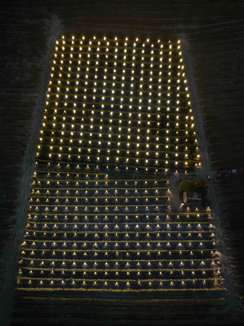 Terlo Night Harvest by Emilio Ferro. Photograph by Tiago e Tania