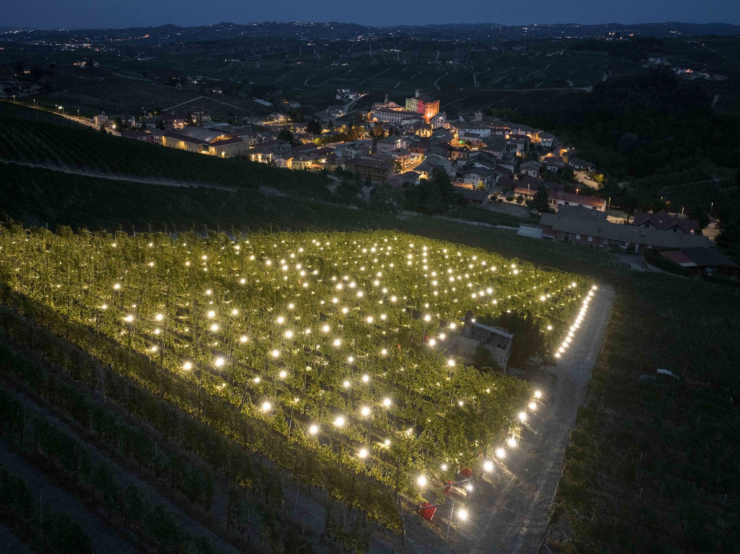 Terlo Night Harvest by Emilio Ferro. Photograph by Tiago e Tania