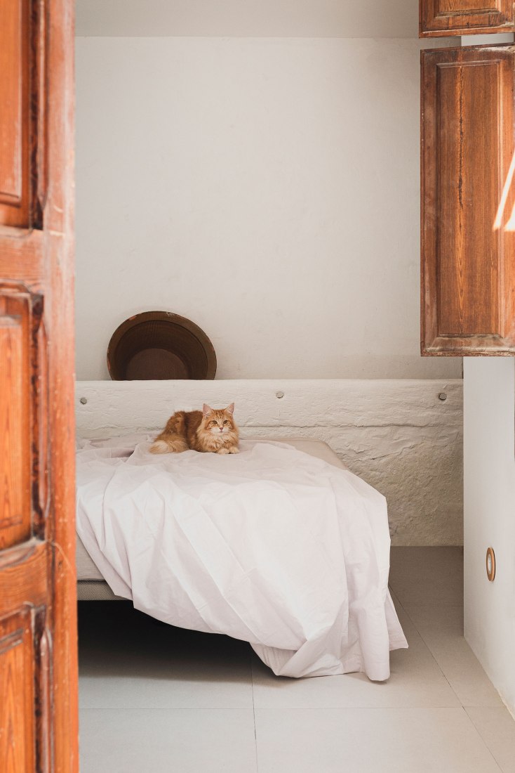 Calvari House by ENDALT Arquitectes. Photography by David Zarzoso.