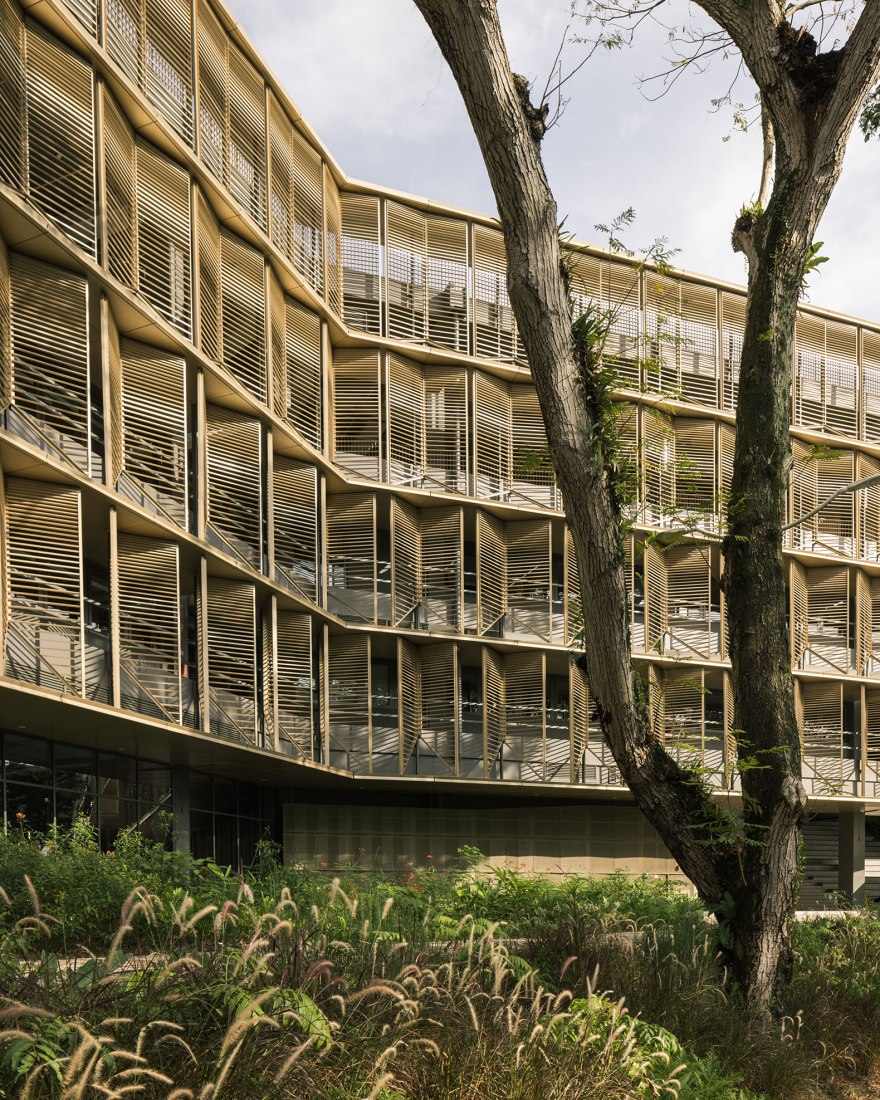 Escuela de Arquitectura por Erik L’Heureux. Fotografía por Finbarr Fallon.