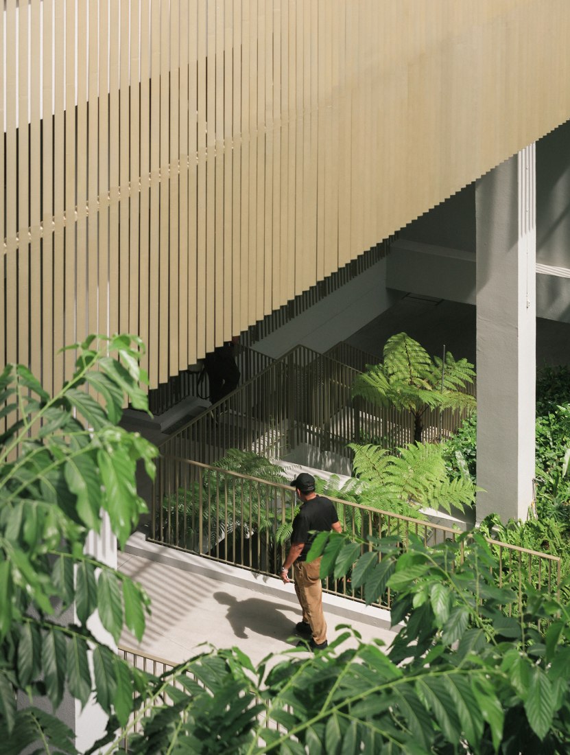 Escuela de Arquitectura por Erik L’Heureux . Fotografía por Finbarr Fallon.