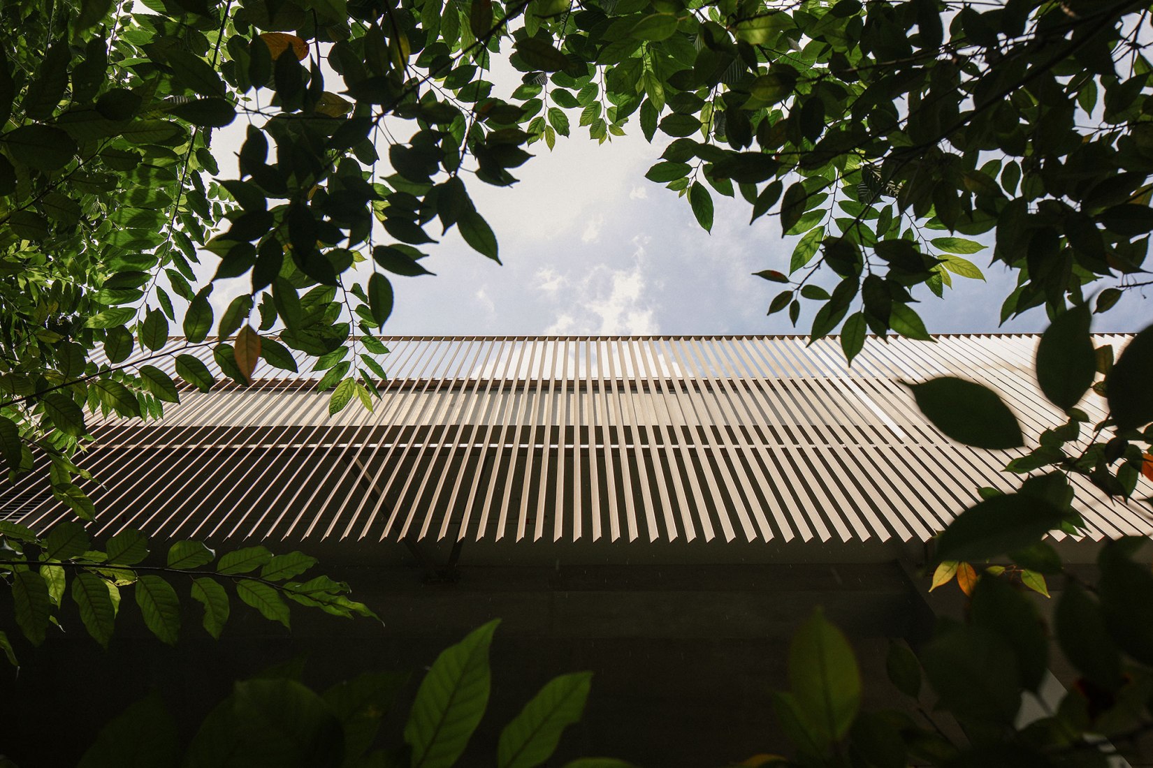 Escuela de Arquitectura por Erik L’Heureux . Fotografía por Finbarr Fallon.