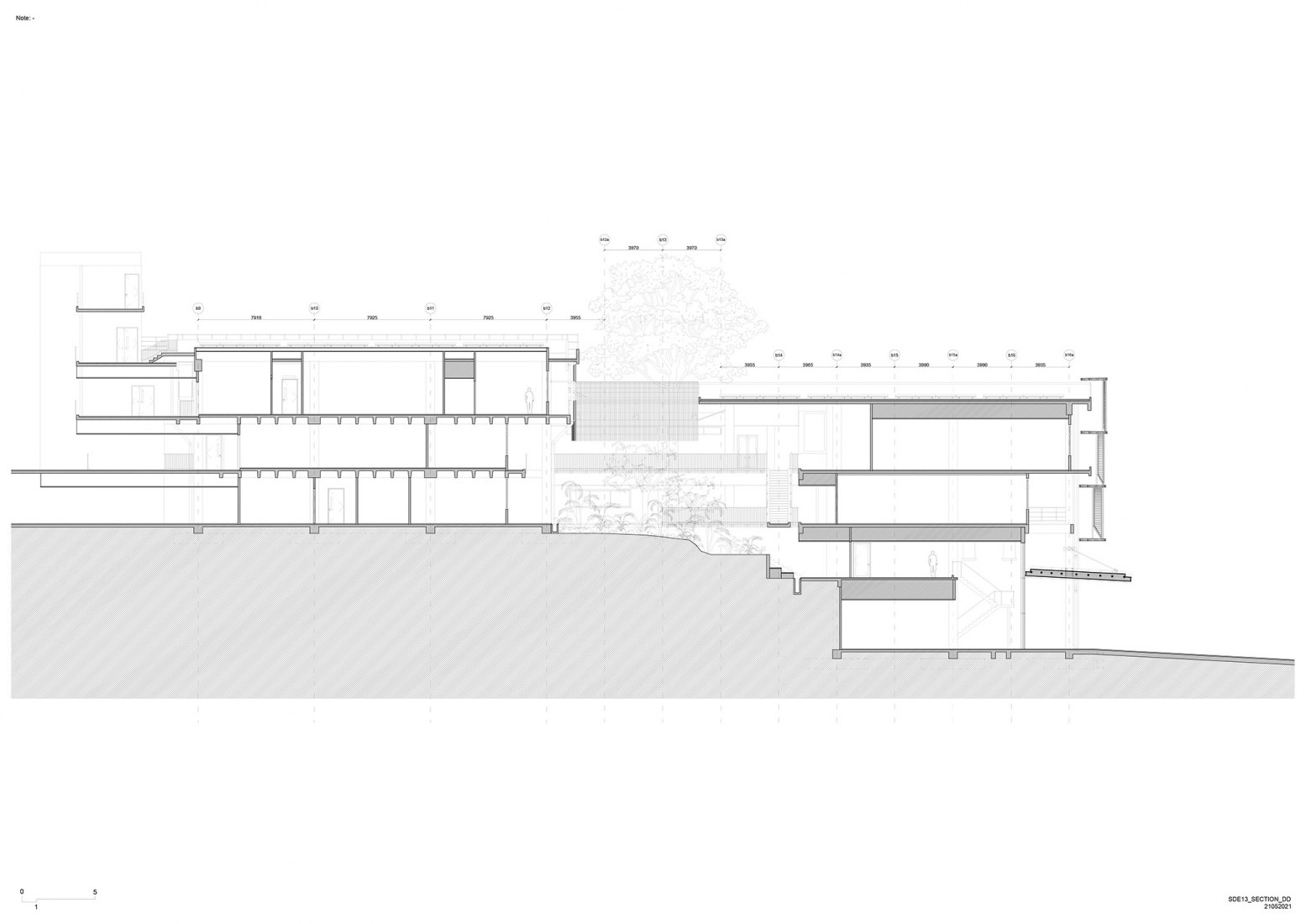 Sección DD. Escuela de Arquitectura por Erik L’Heureux.