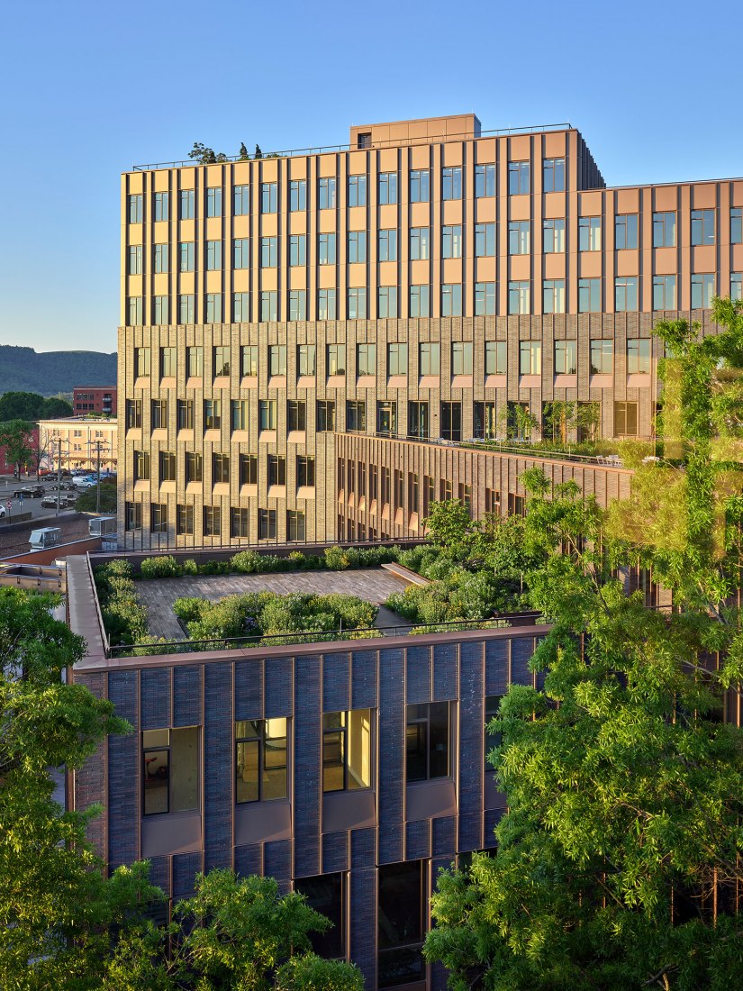 Center for Developing Entrepreneurs by EskewDumezRipple and WOLF ACKERMAN. Photograph by Alan Karchmer.