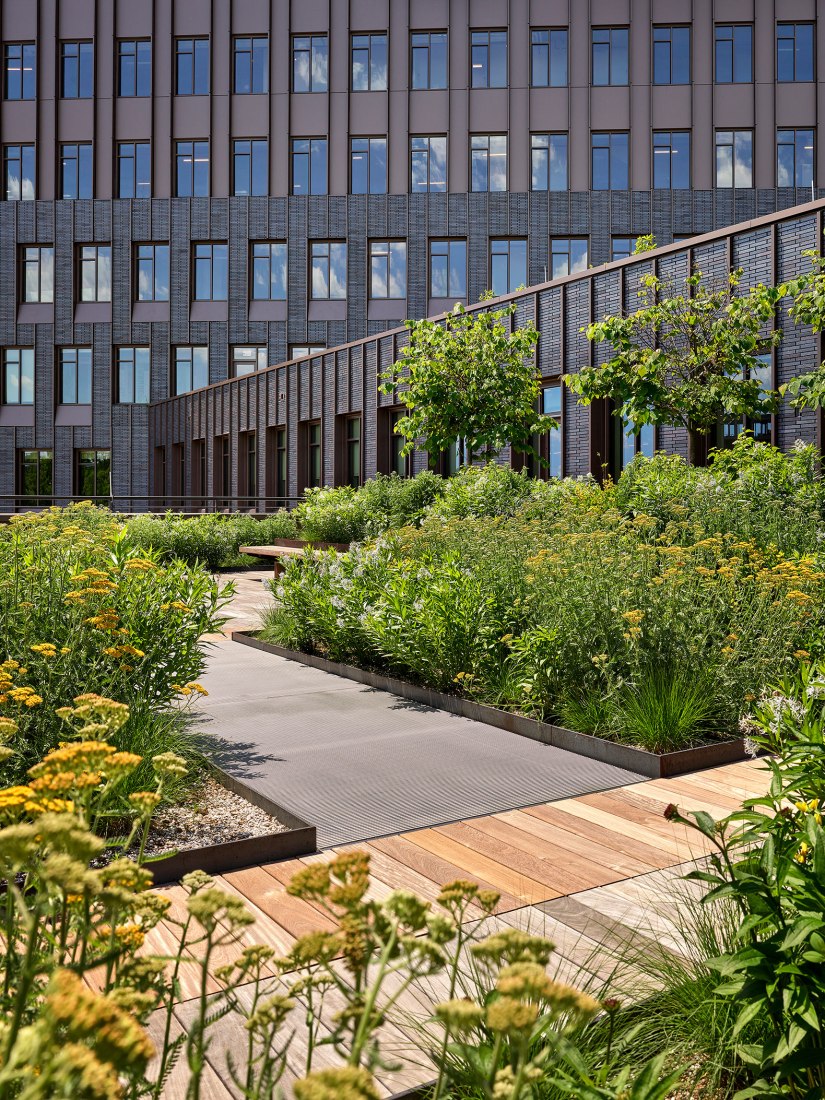 Center for Developing Entrepreneurs by EskewDumezRipple and WOLF ACKERMAN. Photograph by Alan Karchmer.