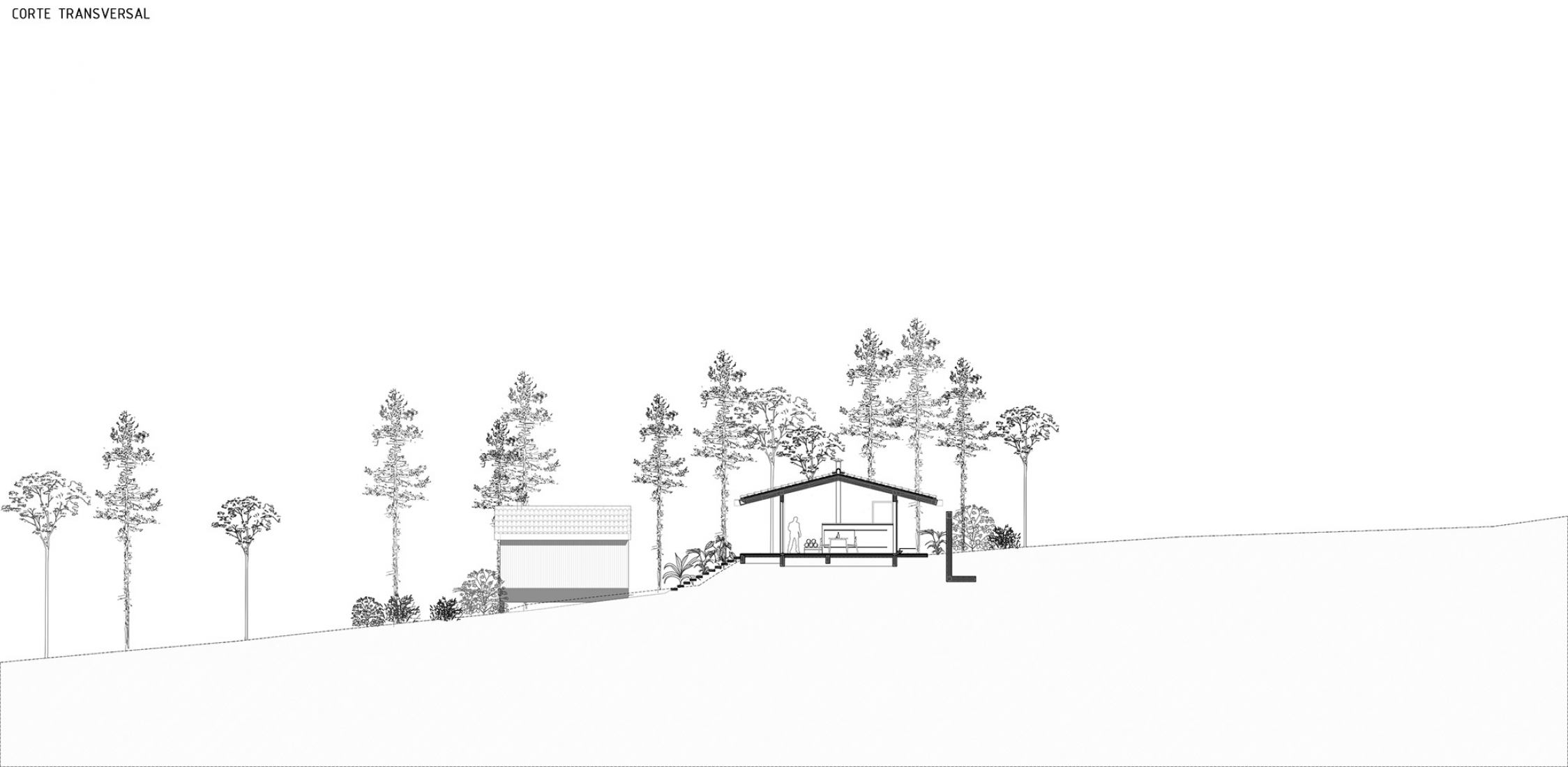 Plano de sección. Casa Mola por Estudio Atemporal.