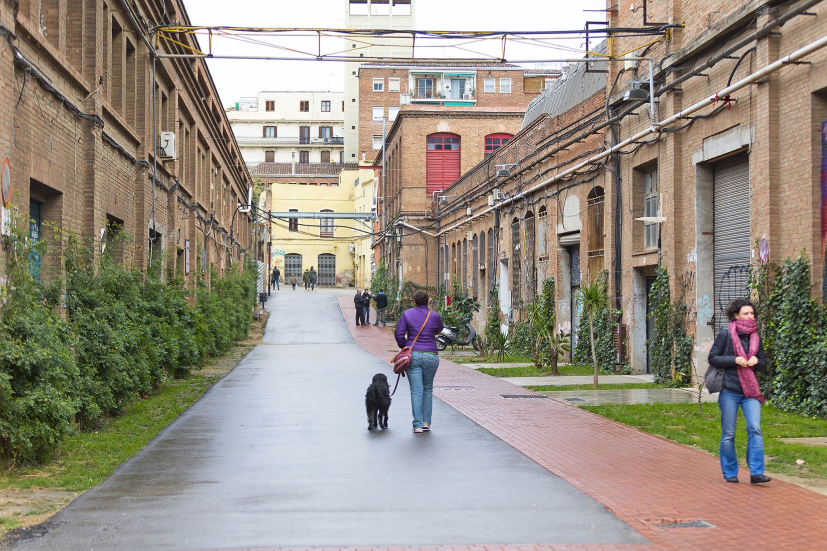 Categoría B, Provisional urbanization of Can Batlló, Barcelona por batlleiroig. © Antonio Navarro Wijkmark