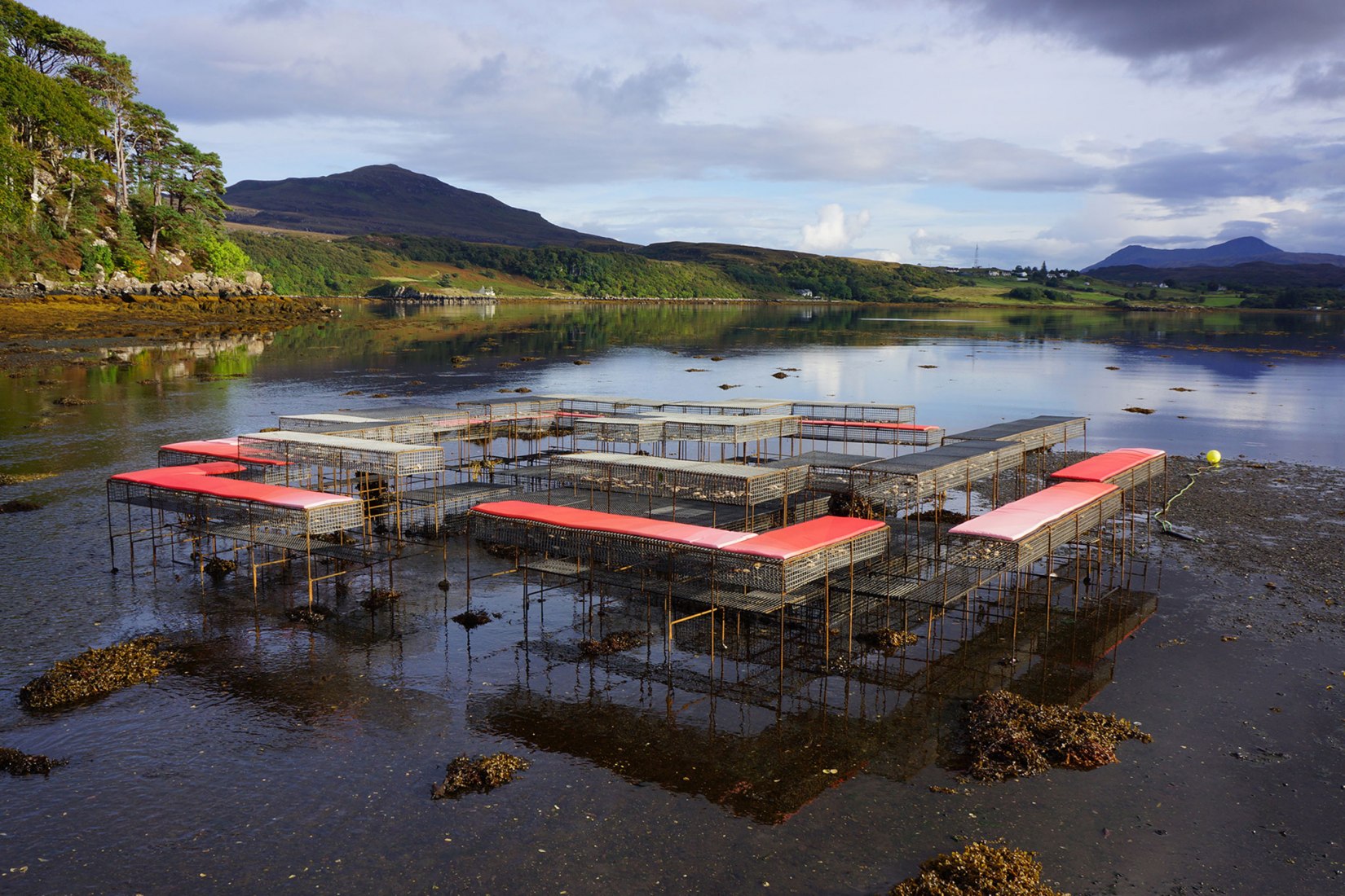 Cooking Sections, CLIMAVORE: On Tidal Zones, 2017-en proceso. Isla de Skye, Escocia. Fotografía por Cooking Sections. Cortesía de Harvard GSD y Cooking Sections