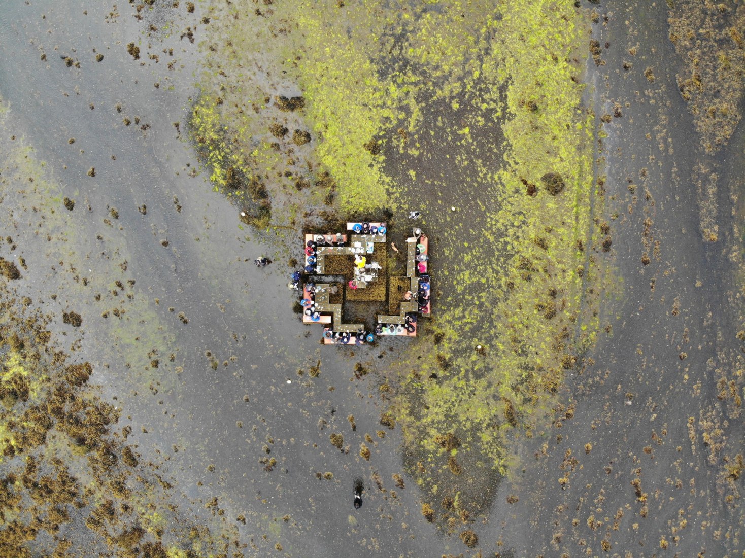 Cooking Sections, CLIMAVORE: On Tidal Zones, 2017-en proceso. Isla de Skye, Escocia. Fotografía por Cooking Sections. Cortesía de Harvard GSD y Cooking Sections
