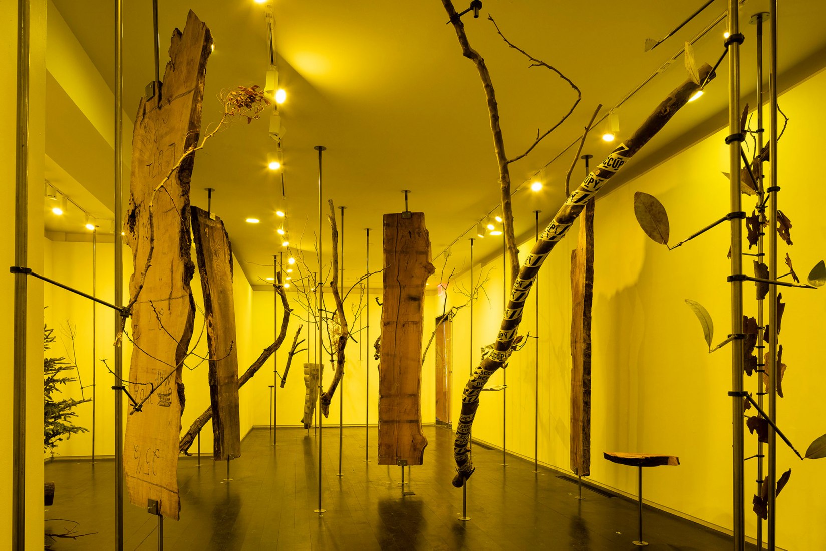 Offsetted. Instalación (2019) Arthur Ross Architecture Gallery, Columbia GSAPP, Nueva York. Cortesía de Harvard GSD y Cooking Sections