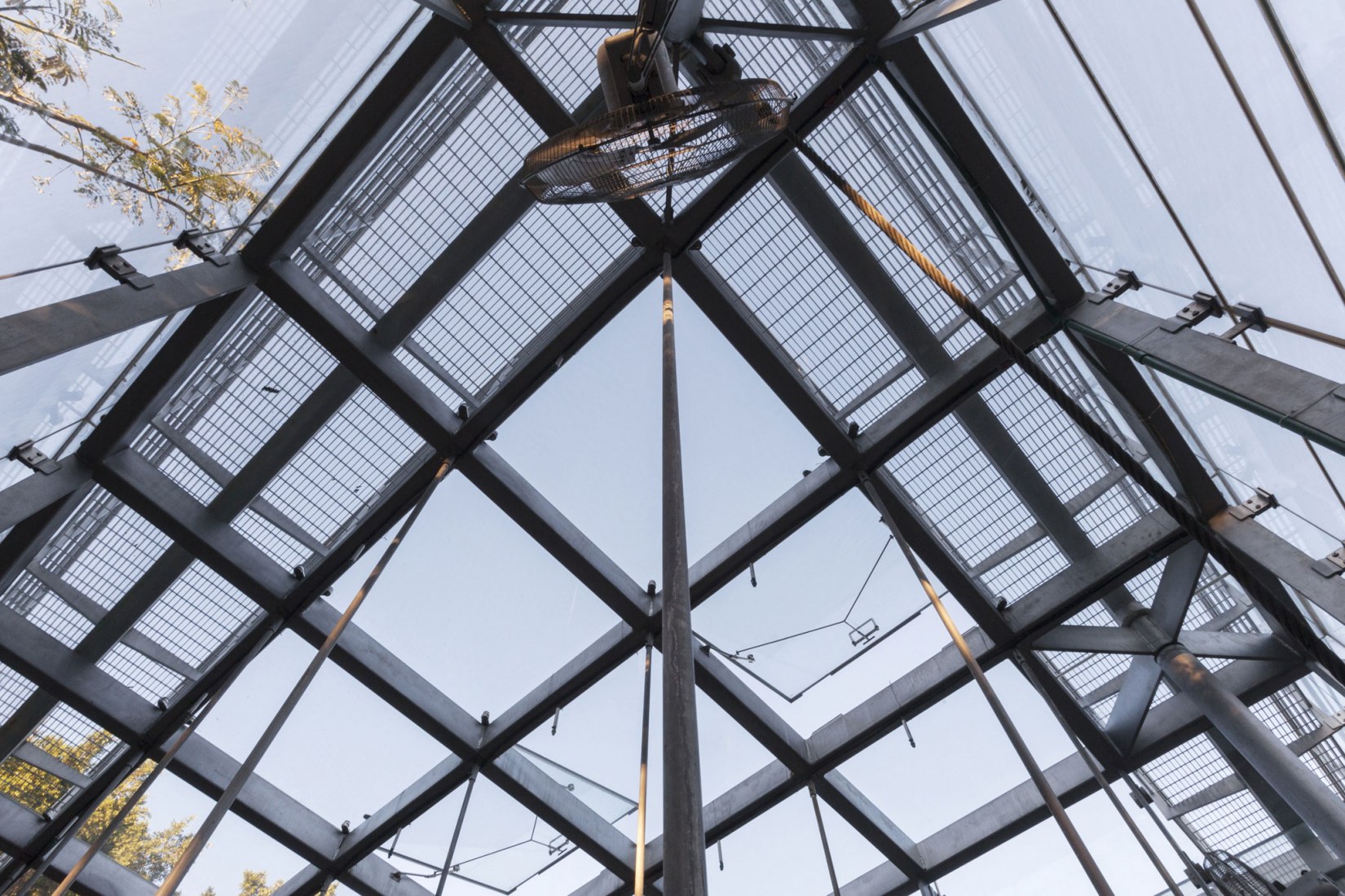 Roof. Orchid Educational Pavilion by FGP Atelier. Photograph by FGP Atelier