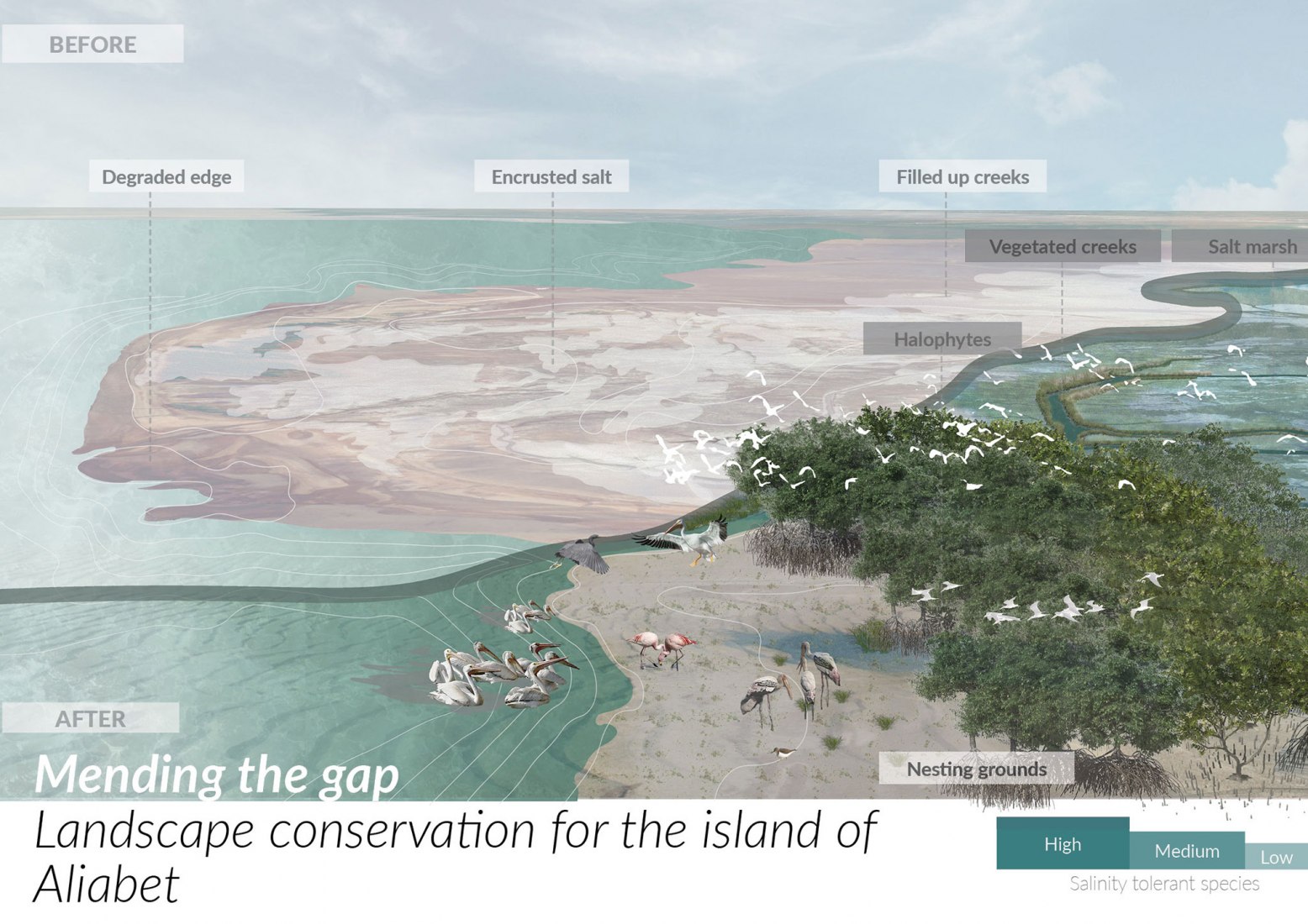 Mending the gap: Landscape conservation for the island of Aliabet by Shreeni Benjamin