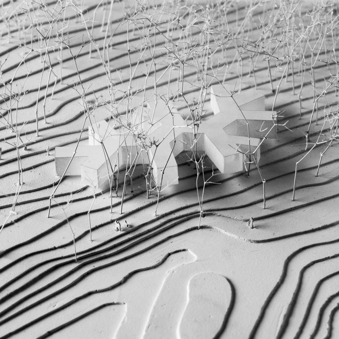 Maqueta. Casa en el bosque por Florian Busch Architects.