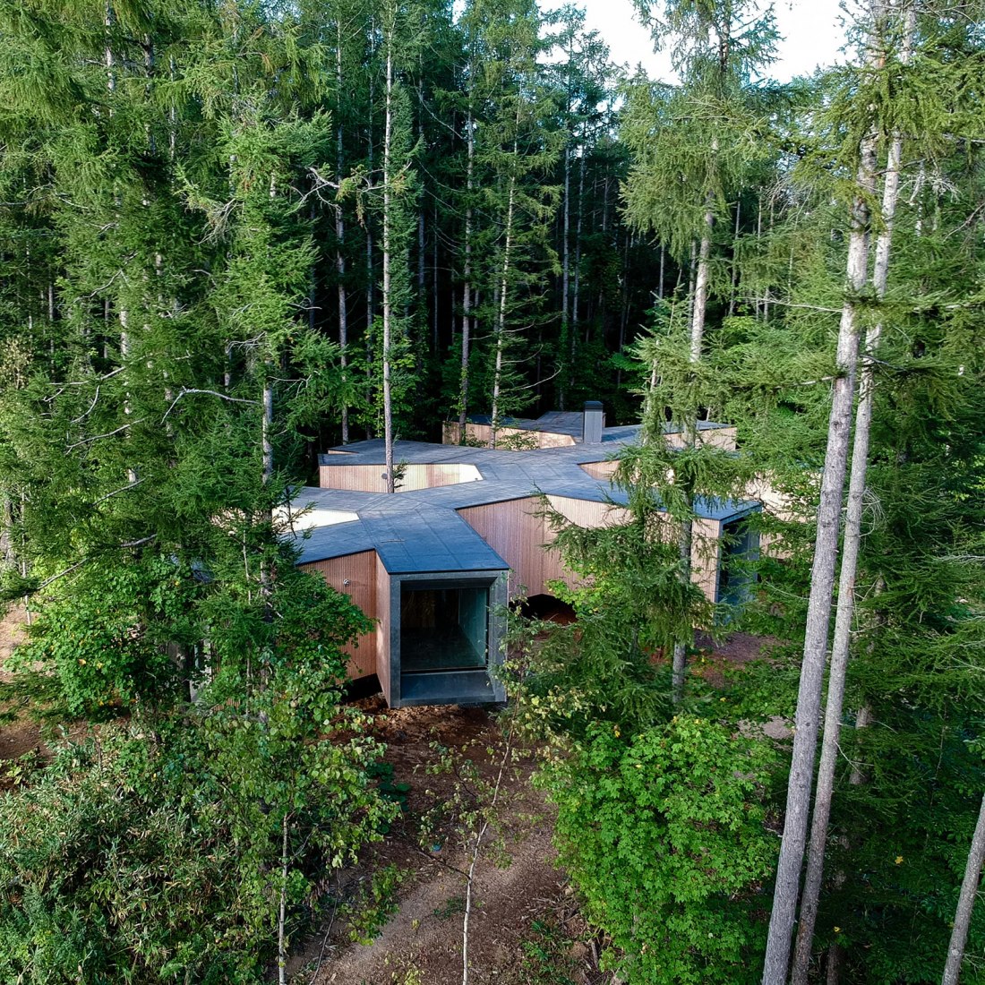 Casa en el bosque por Florian Busch Architects. Fotografía por FBA