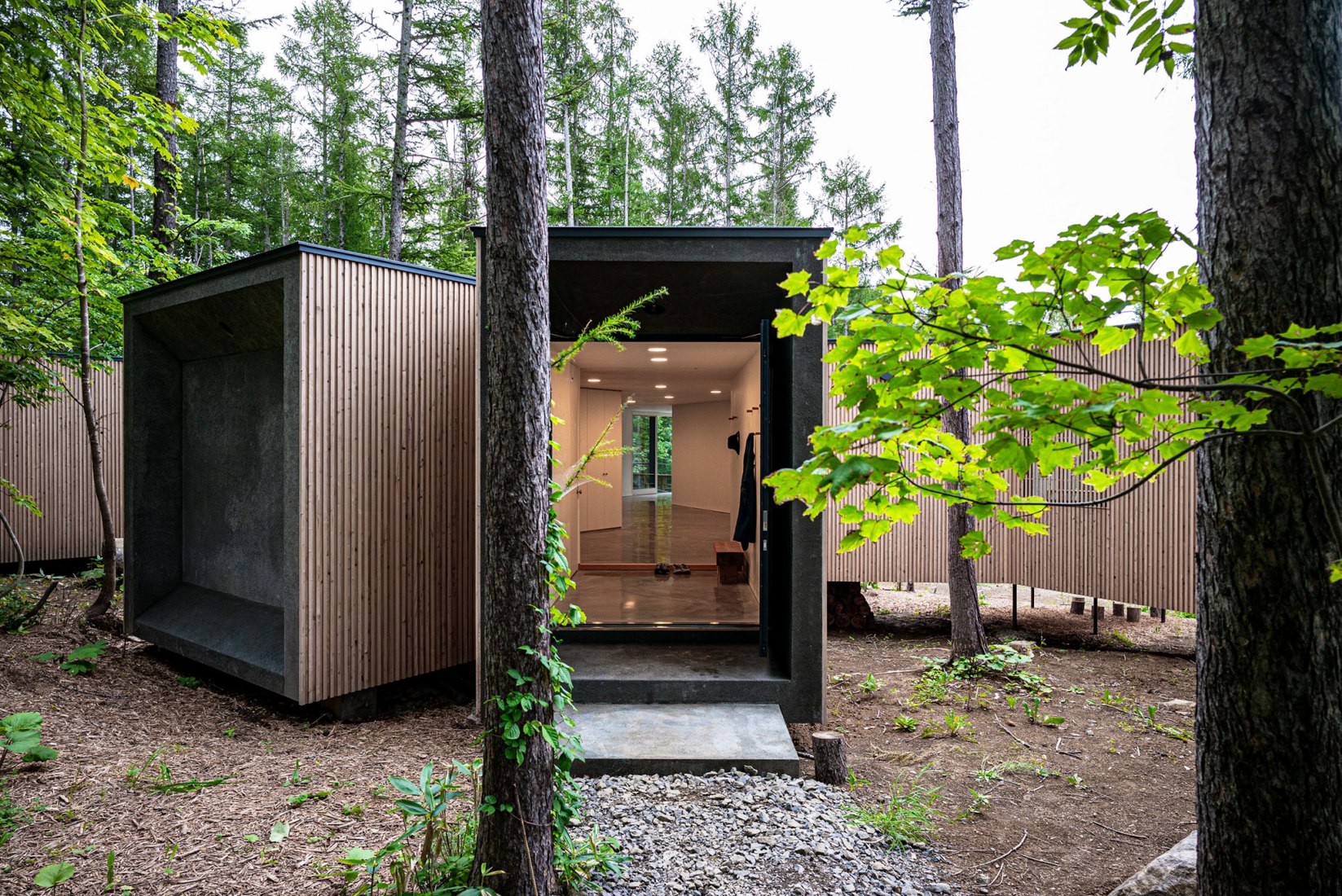 Casa en el bosque por Florian Busch Architects. Fotografía por FBA
