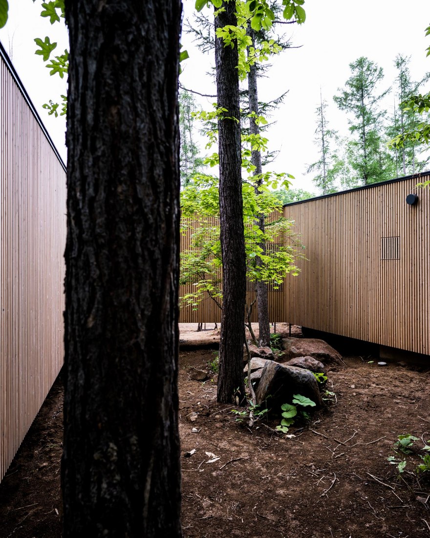 Casa en el bosque por Florian Busch Architects. Fotografía por FBA