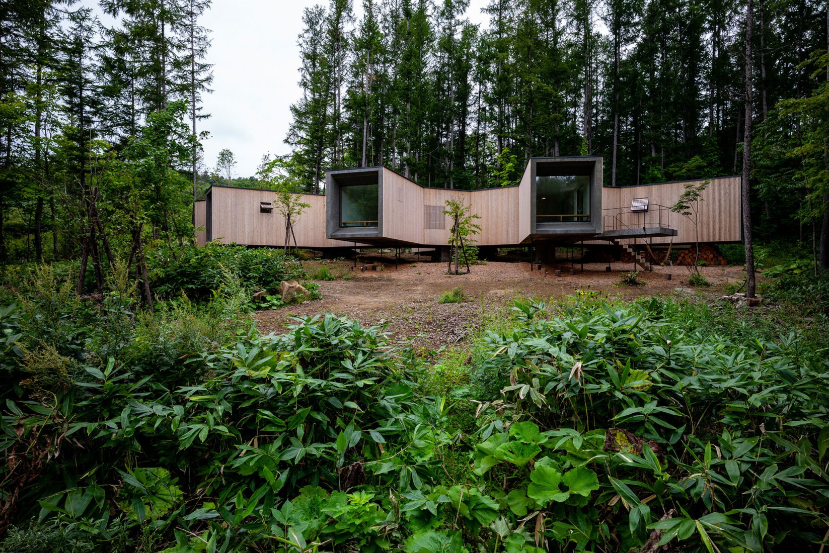 Casa en el bosque por Florian Busch Architects. Fotografía por FBA