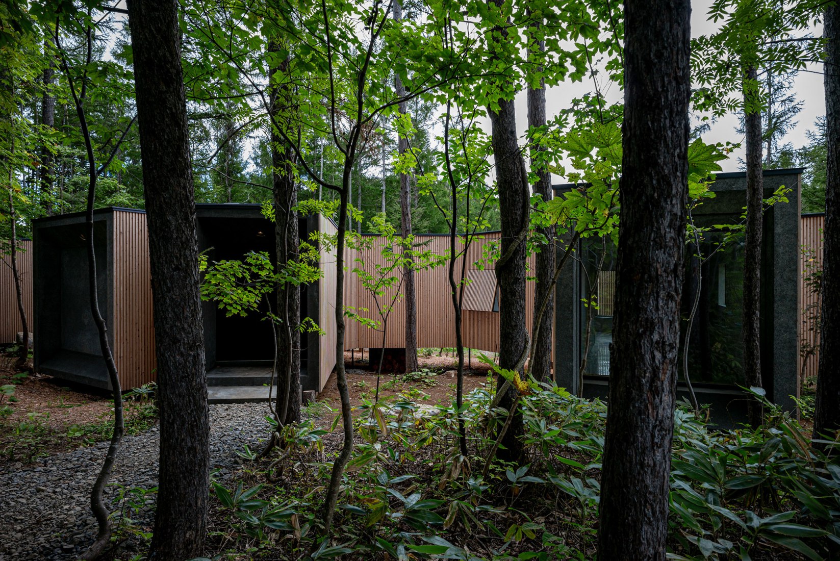 Casa en el bosque por Florian Busch Architects. Fotografía por FBA