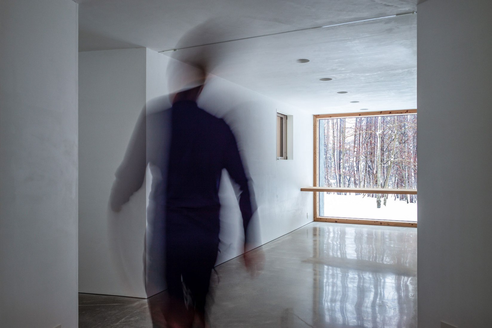 Casa en el bosque por Florian Busch Architects. Fotografía por FBA