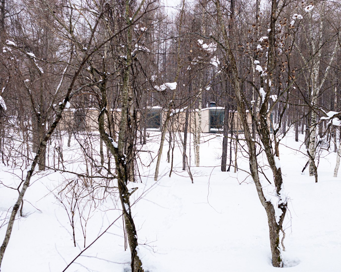 Casa en el bosque por Florian Busch Architects. Fotografía por FBA