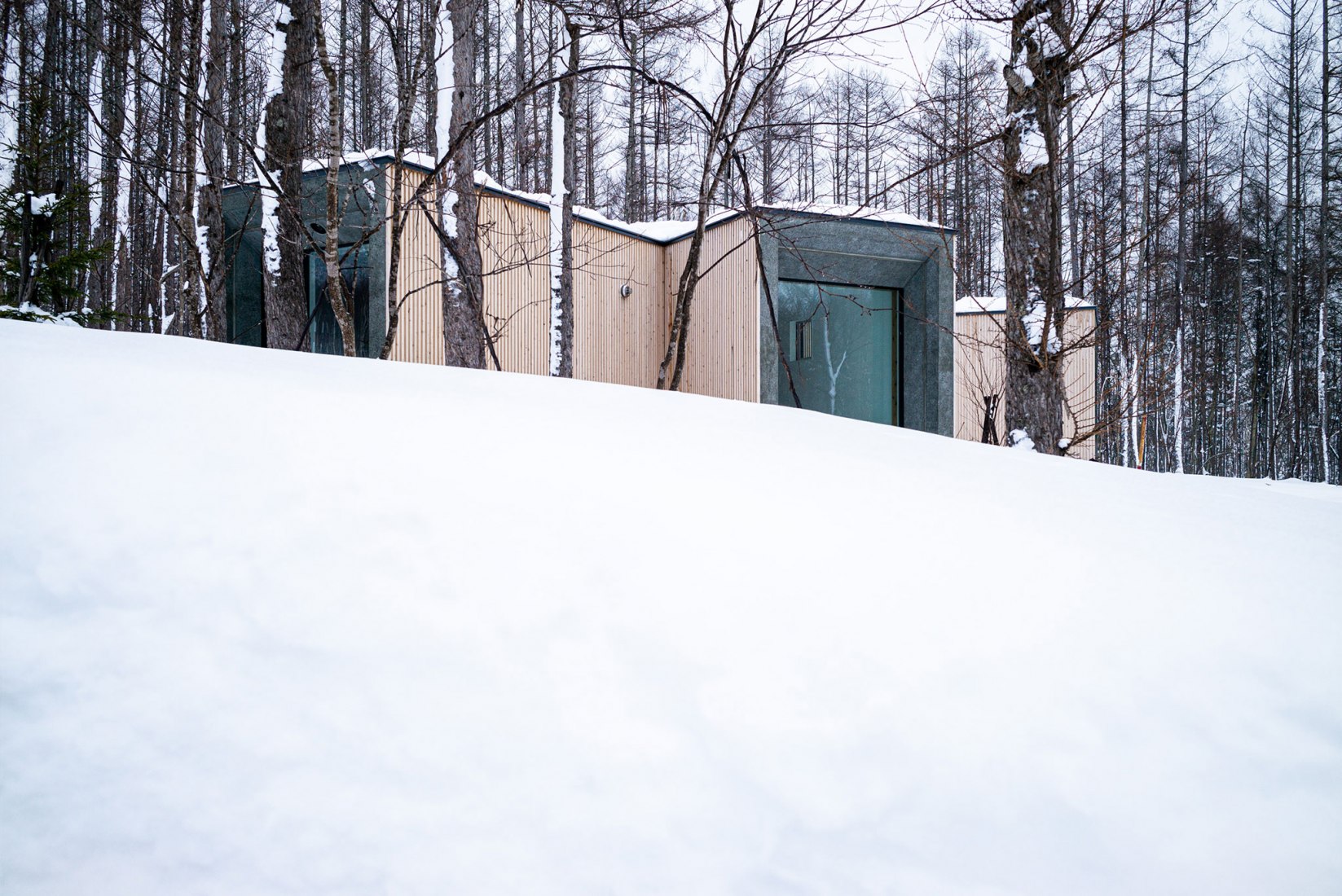 Casa en el bosque por Florian Busch Architects. Fotografía por FBA