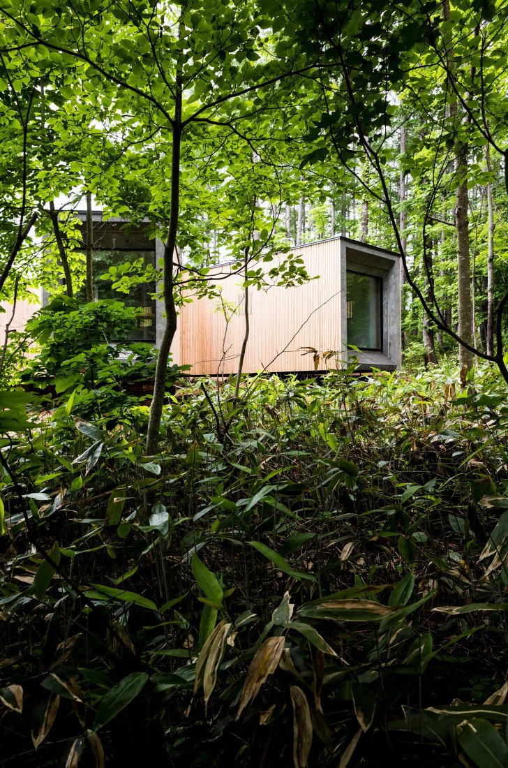 Casa en el bosque por Florian Busch Architects. Fotografía por FBA