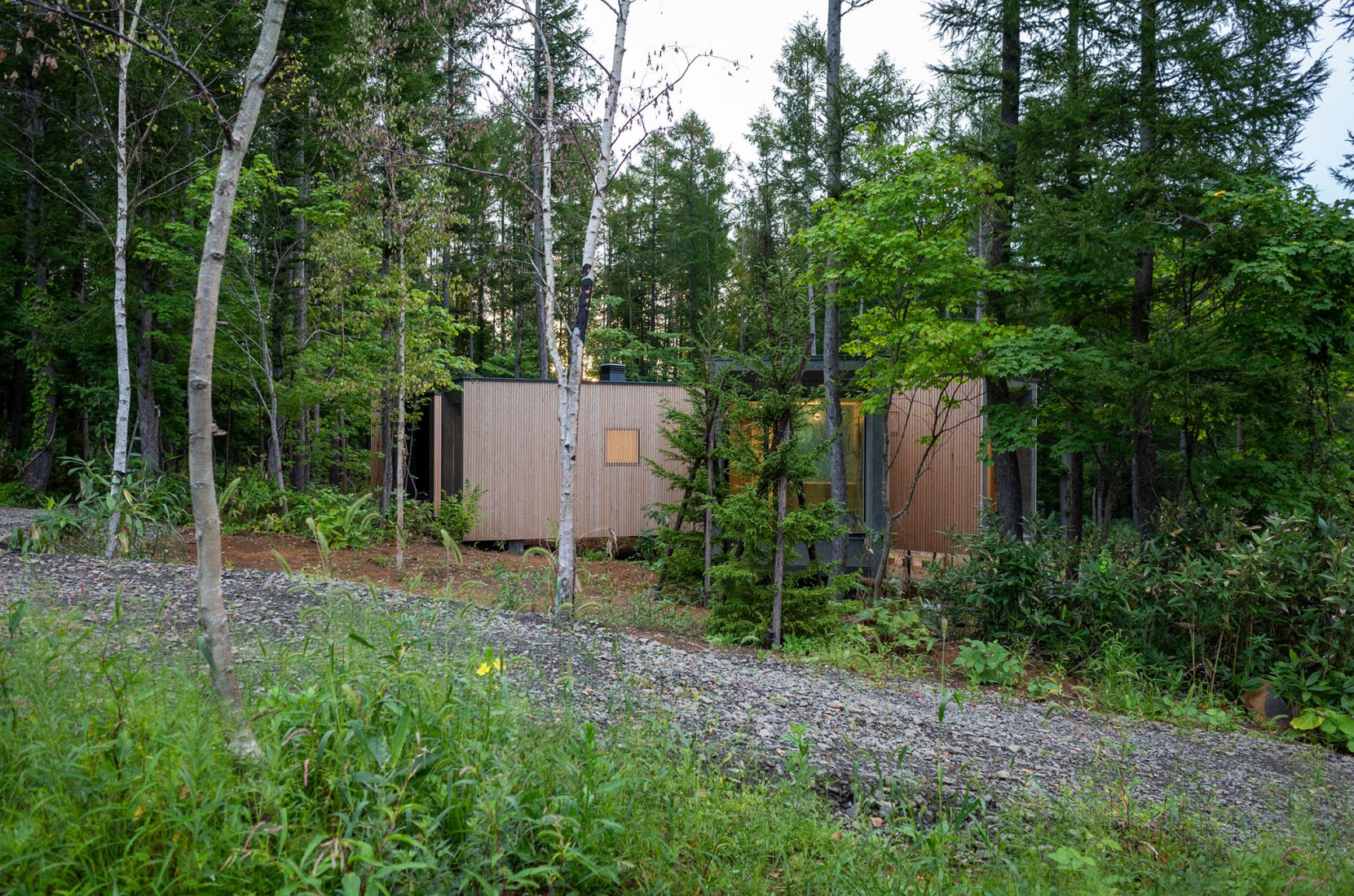 Casa en el bosque por Florian Busch Architects. Fotografía por FBA