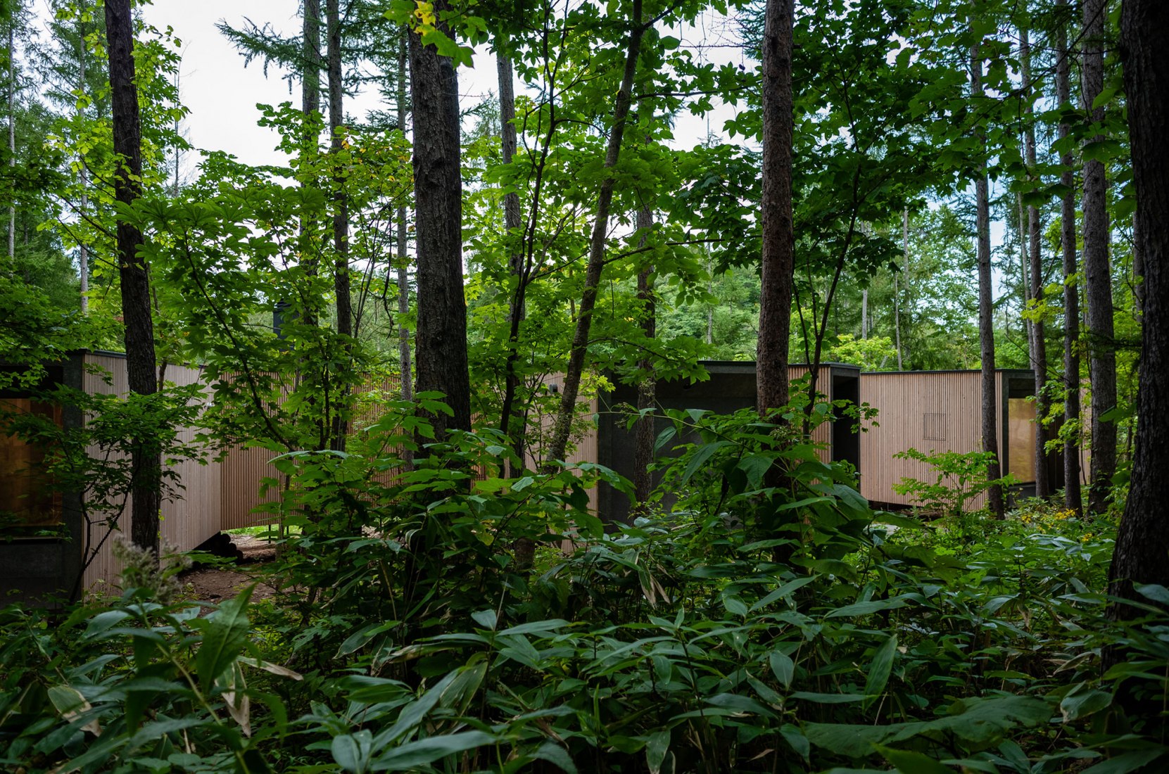 Casa en el bosque por Florian Busch Architects. Fotografía por FBA