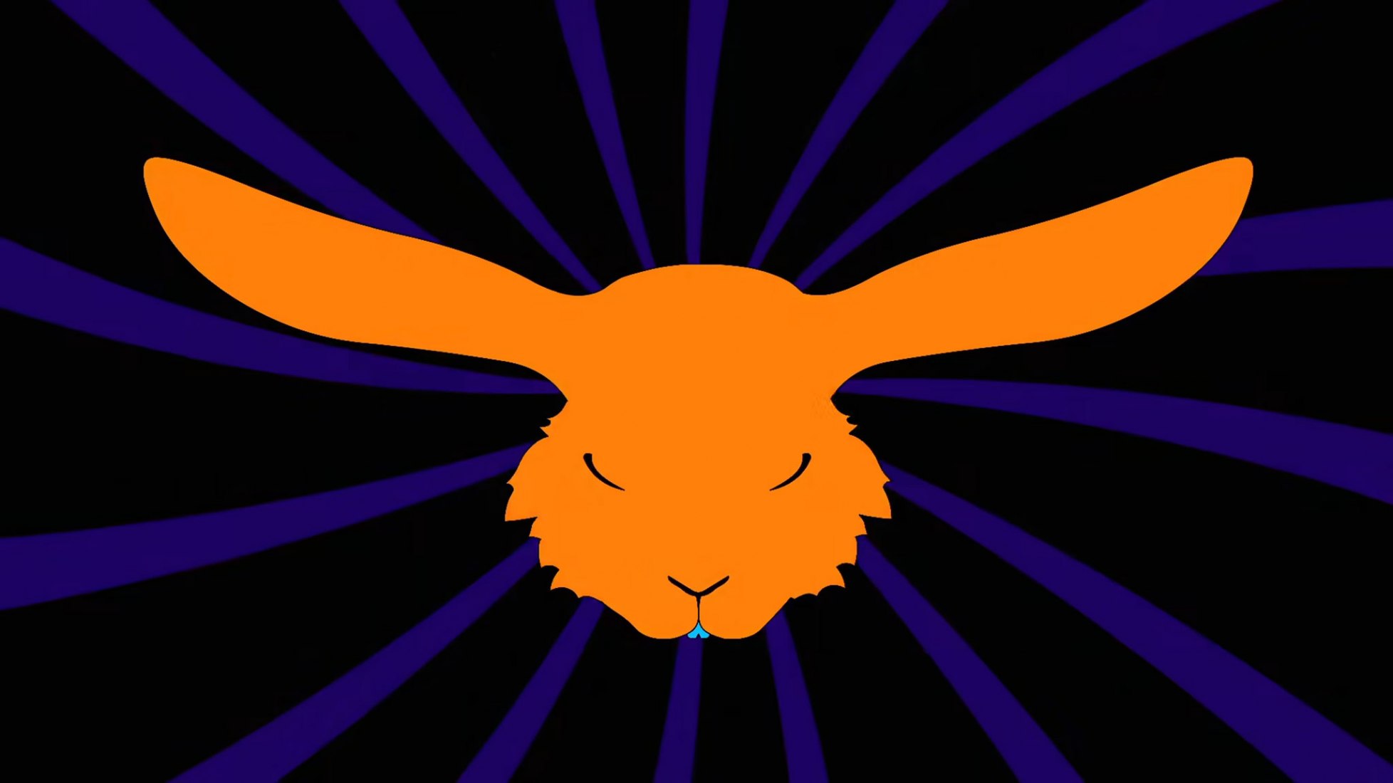 Lamb's wool by Foster The People
