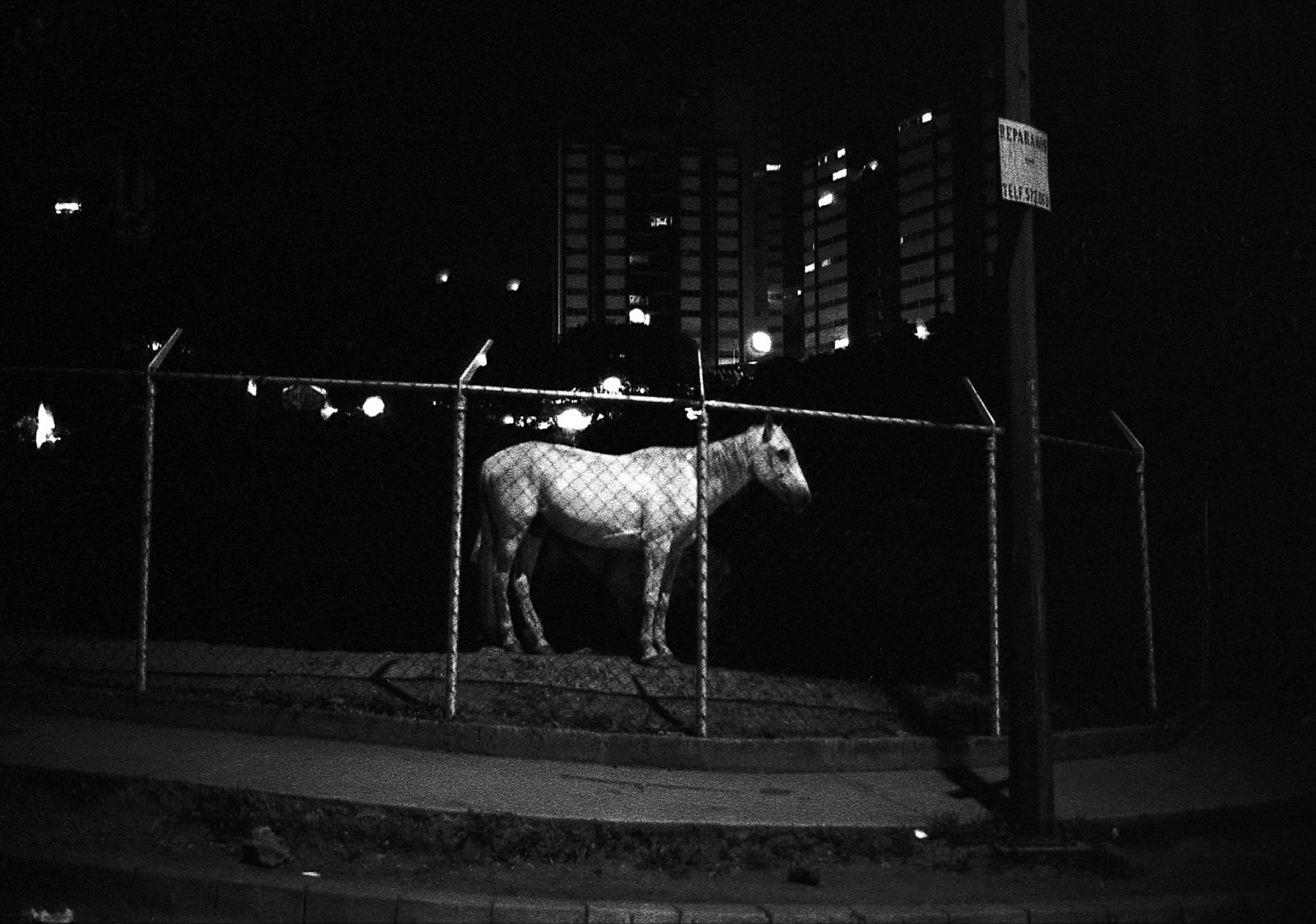 No hay más héroes. Fotos desde el auto por Ricardo Jiménez. Fotografía © Ricardo Jiménez