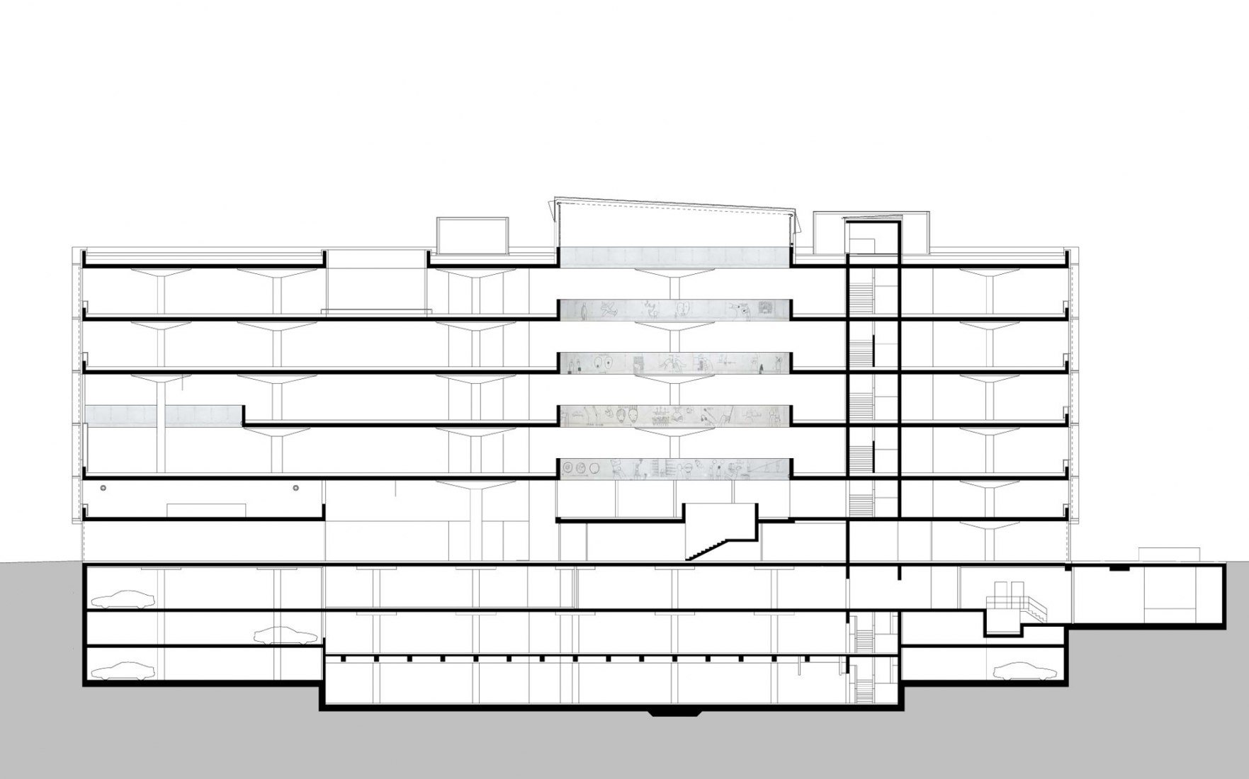 Section.