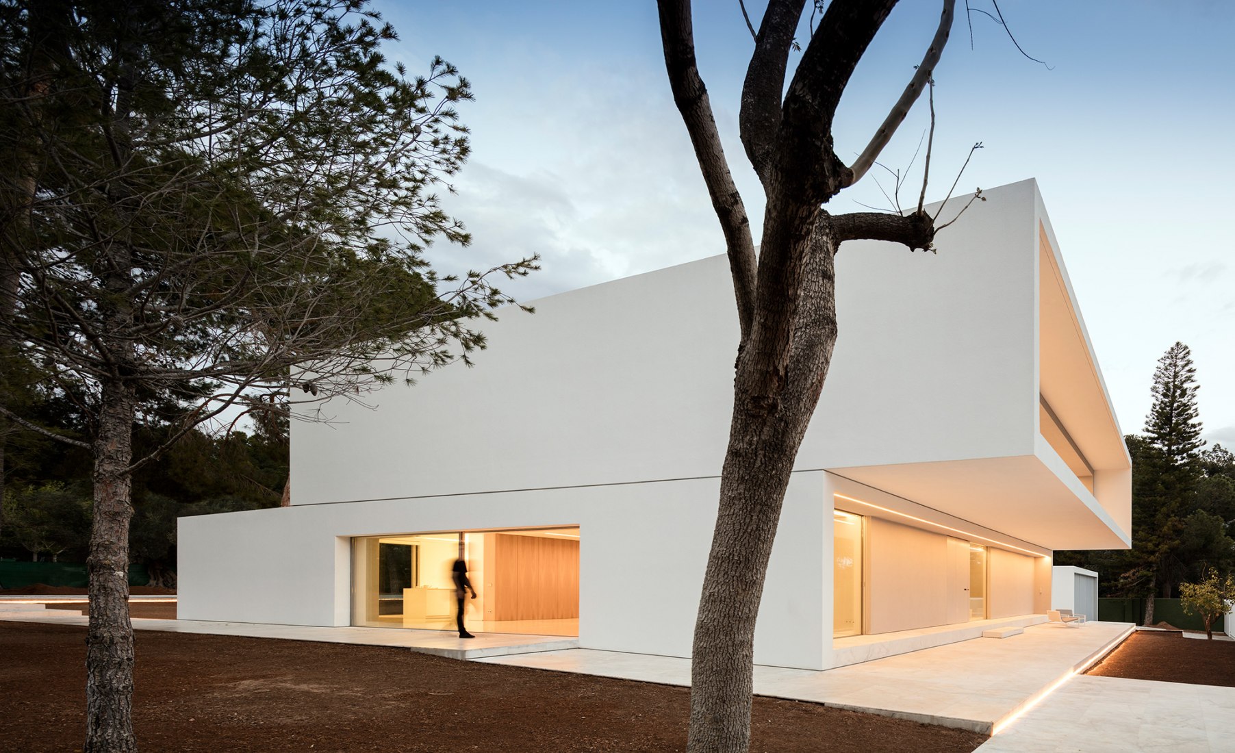 House between the pine forest. Photograph © Fernando Guerra
