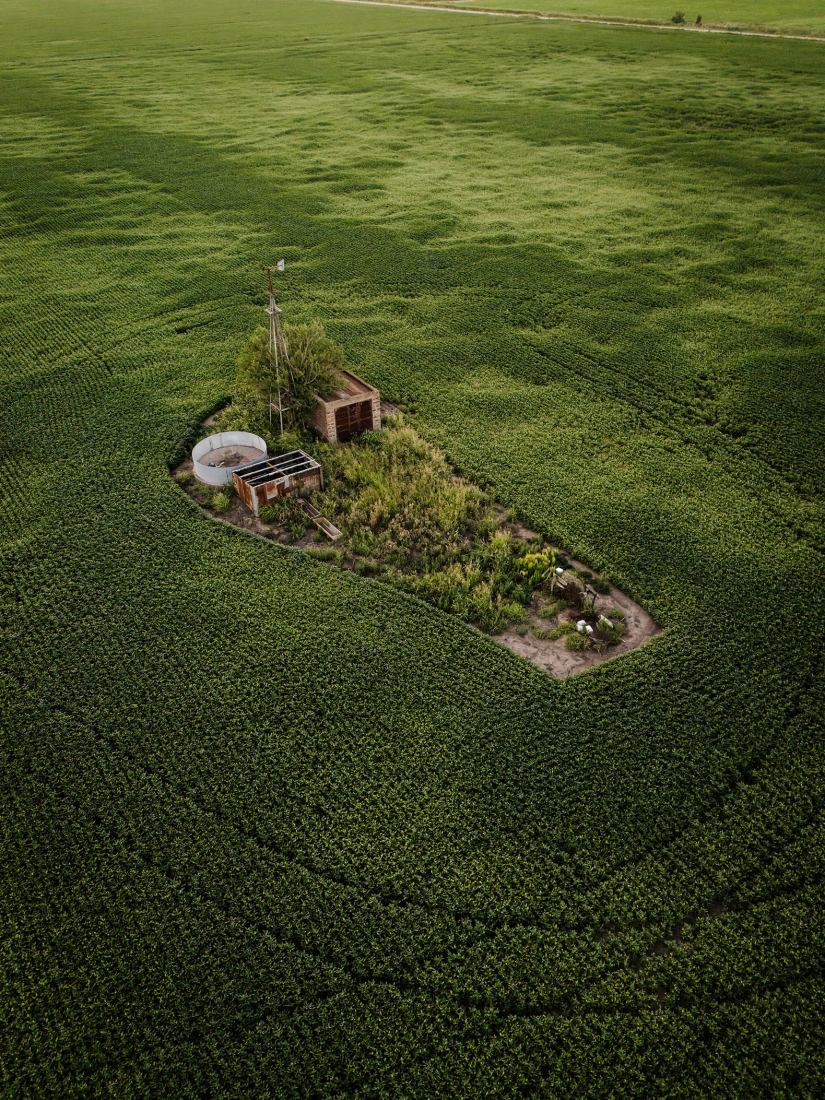 «Taperas» de campo por Franco Casaccia. Fotografía por Franco Casaccia.