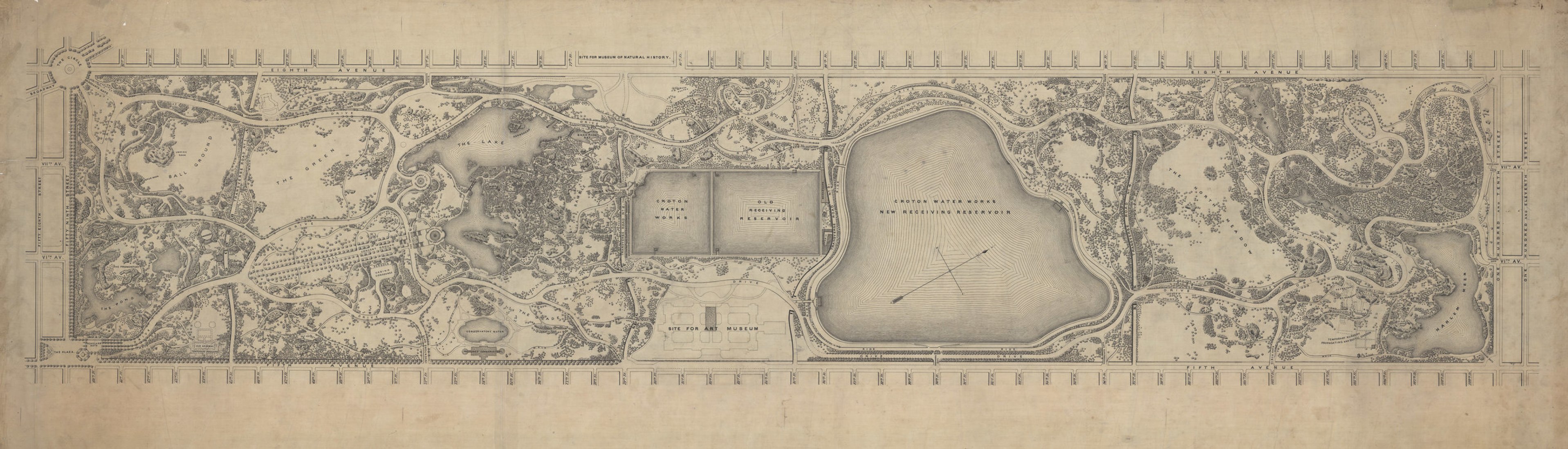 Celebrating 200 years since the birth of Frederick Law Olmsted