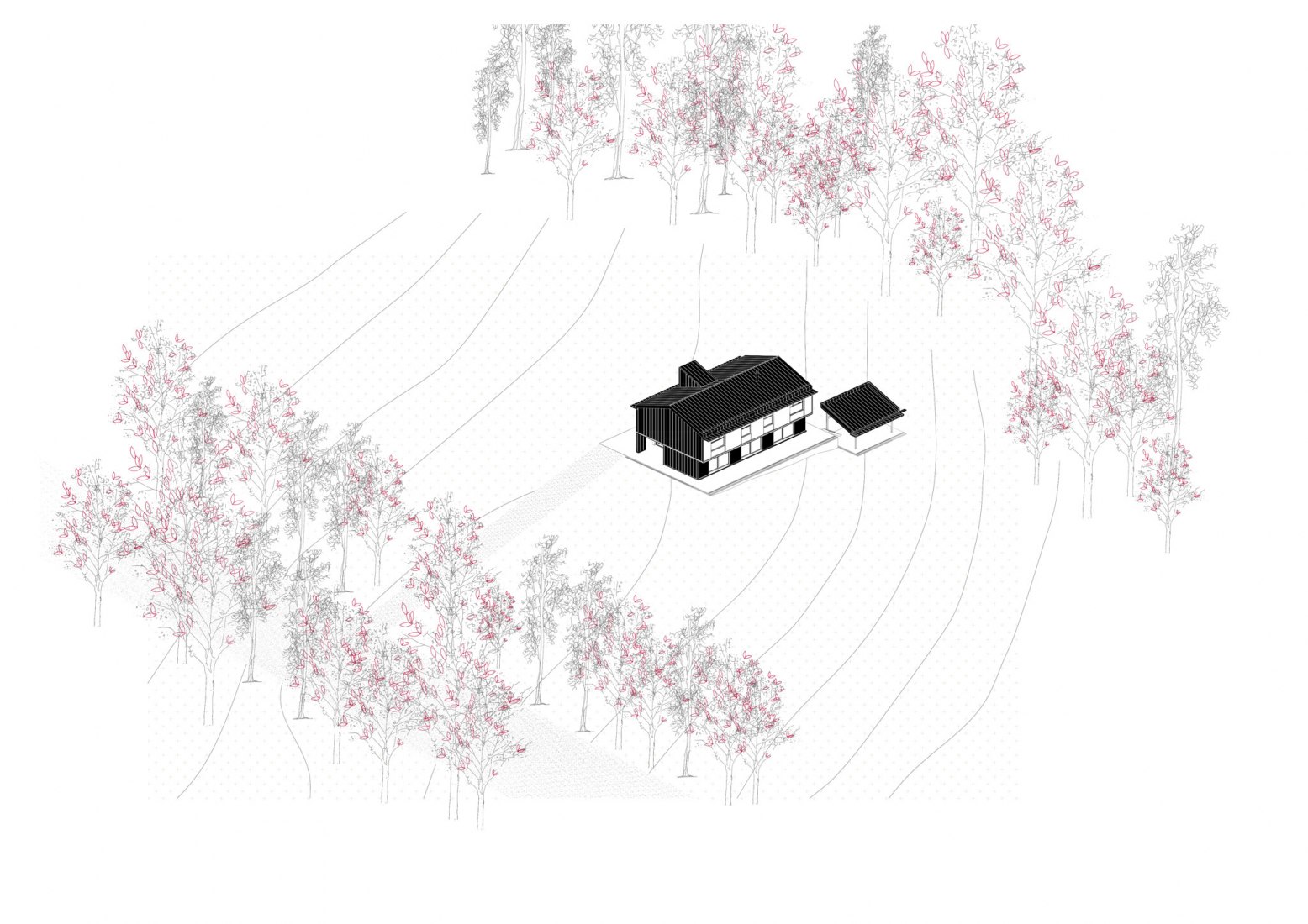 Axonometric view. Anaz House by GarciaGerman Architects.