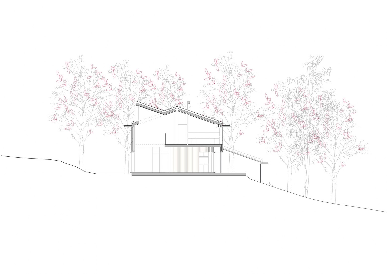 Section. Anaz House by GarciaGerman Architects.